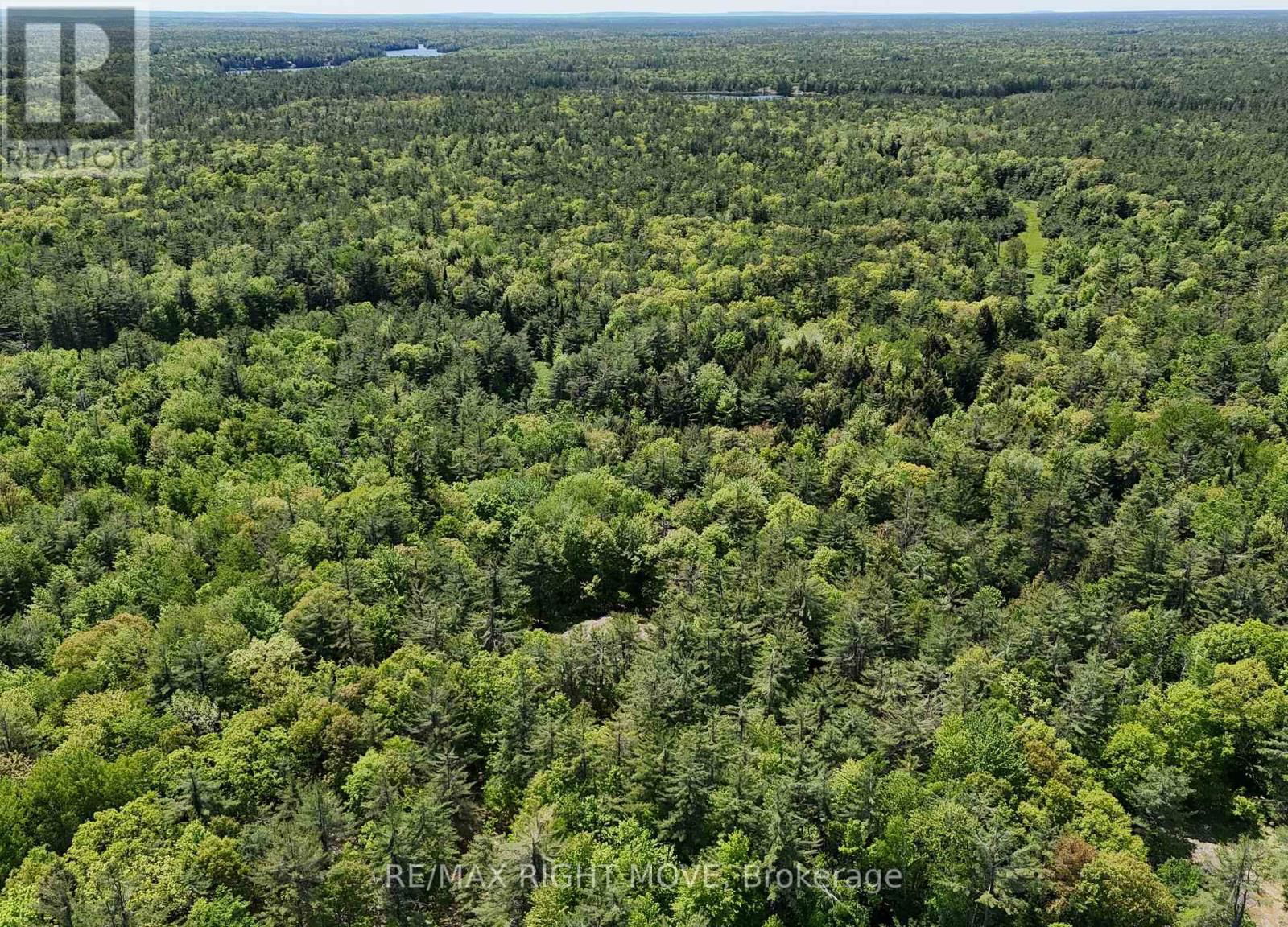 2159 SOUTHWOOD ROAD Image 3