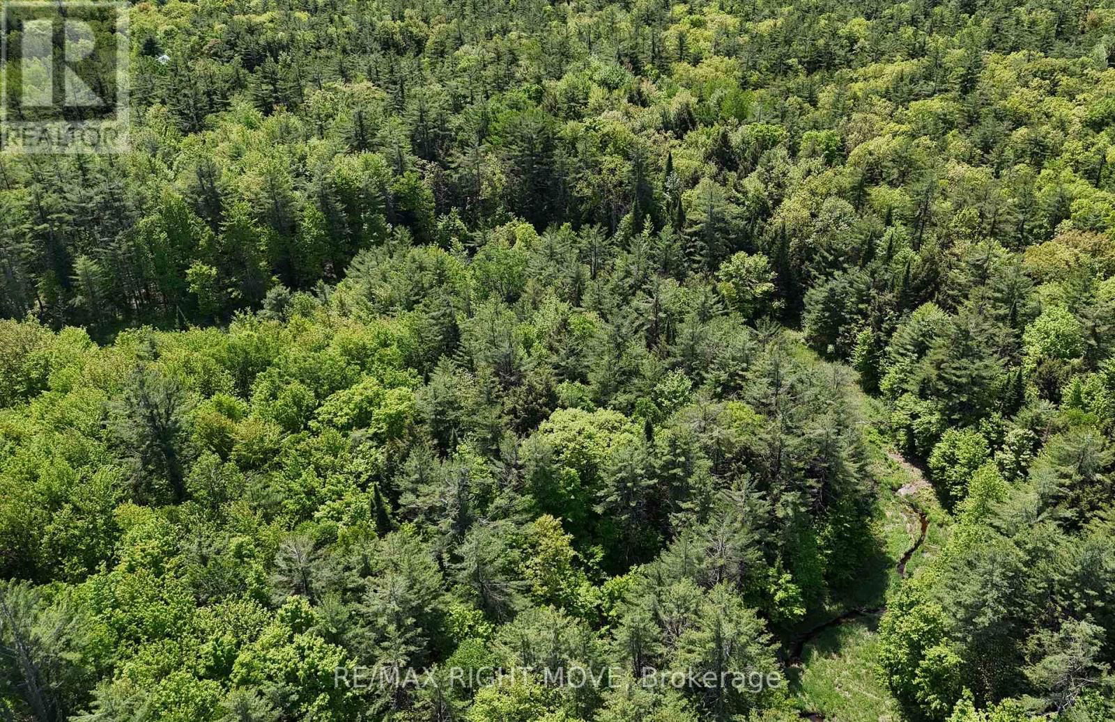 2159 SOUTHWOOD ROAD Image 4