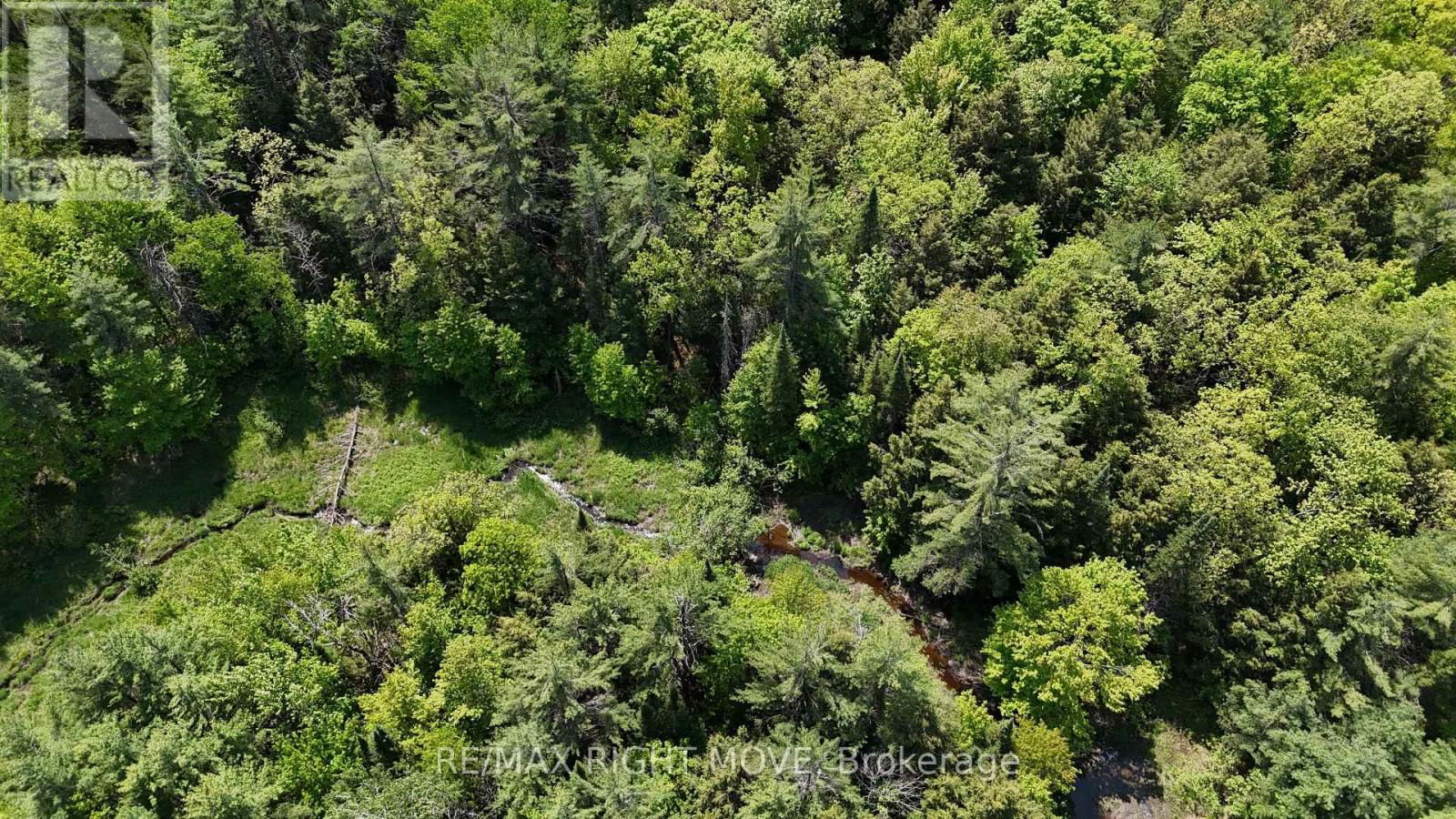2159 SOUTHWOOD ROAD Image 5