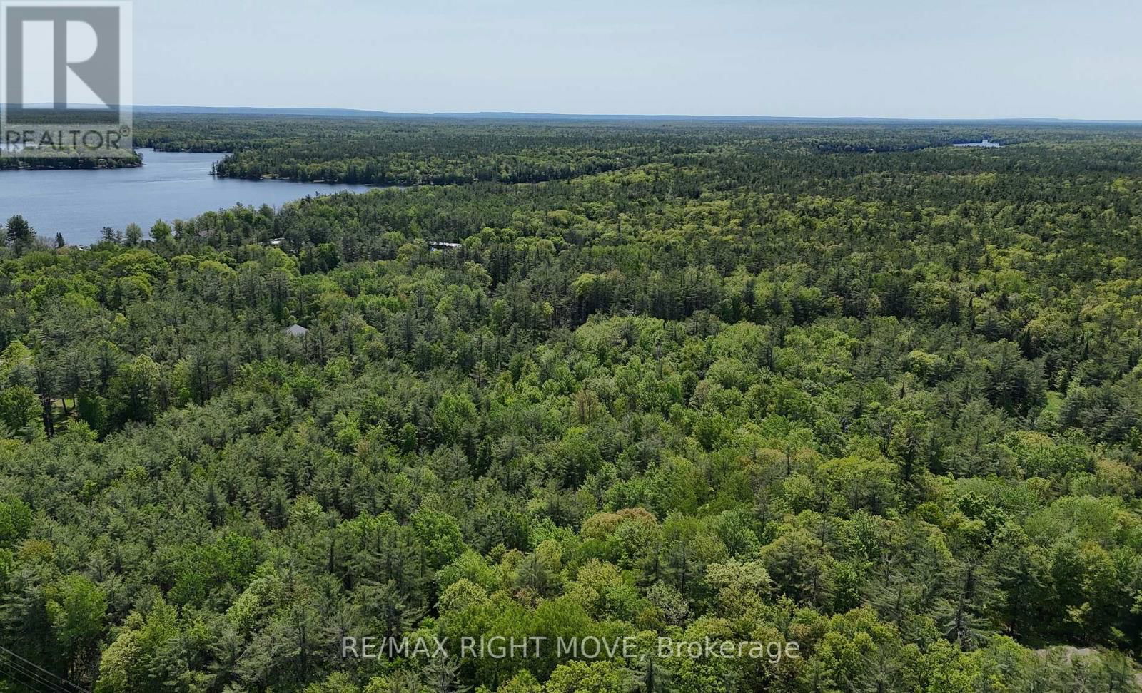 2159 SOUTHWOOD ROAD Image 6