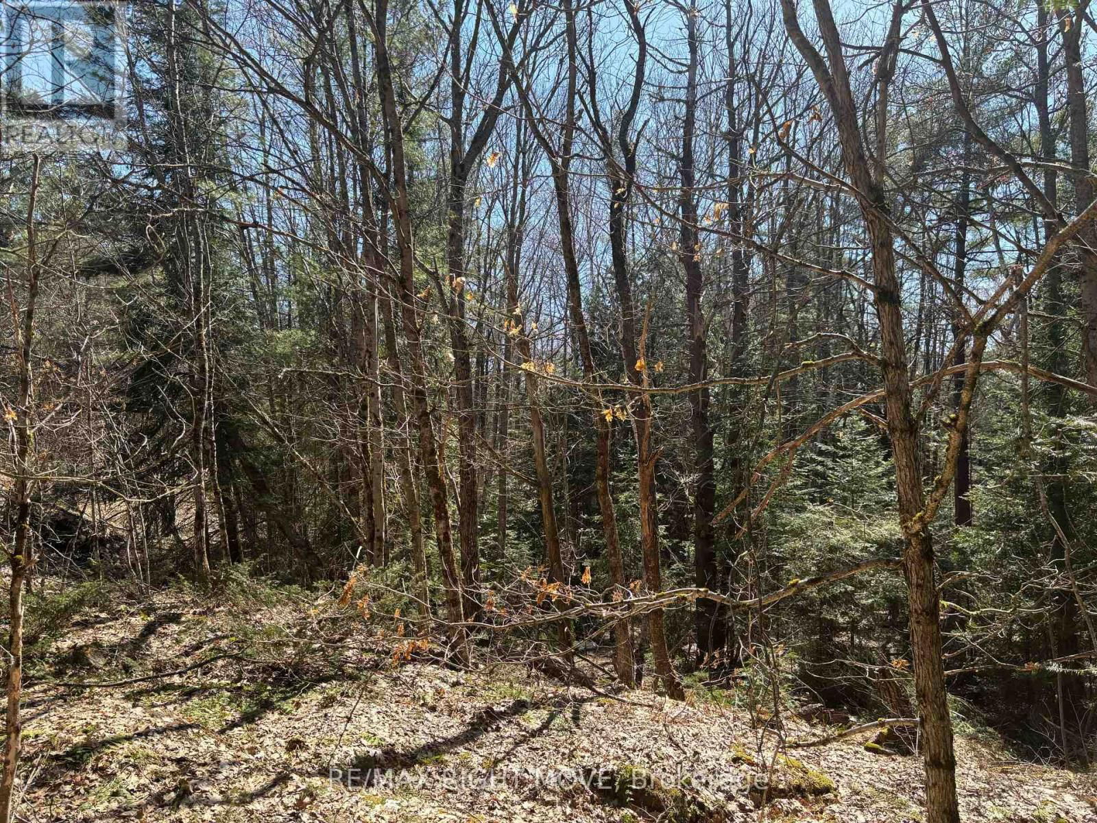2159 SOUTHWOOD ROAD Image 8