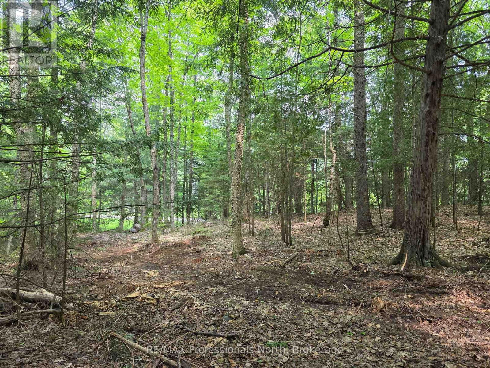 0 25TH LINE ROAD Image 3