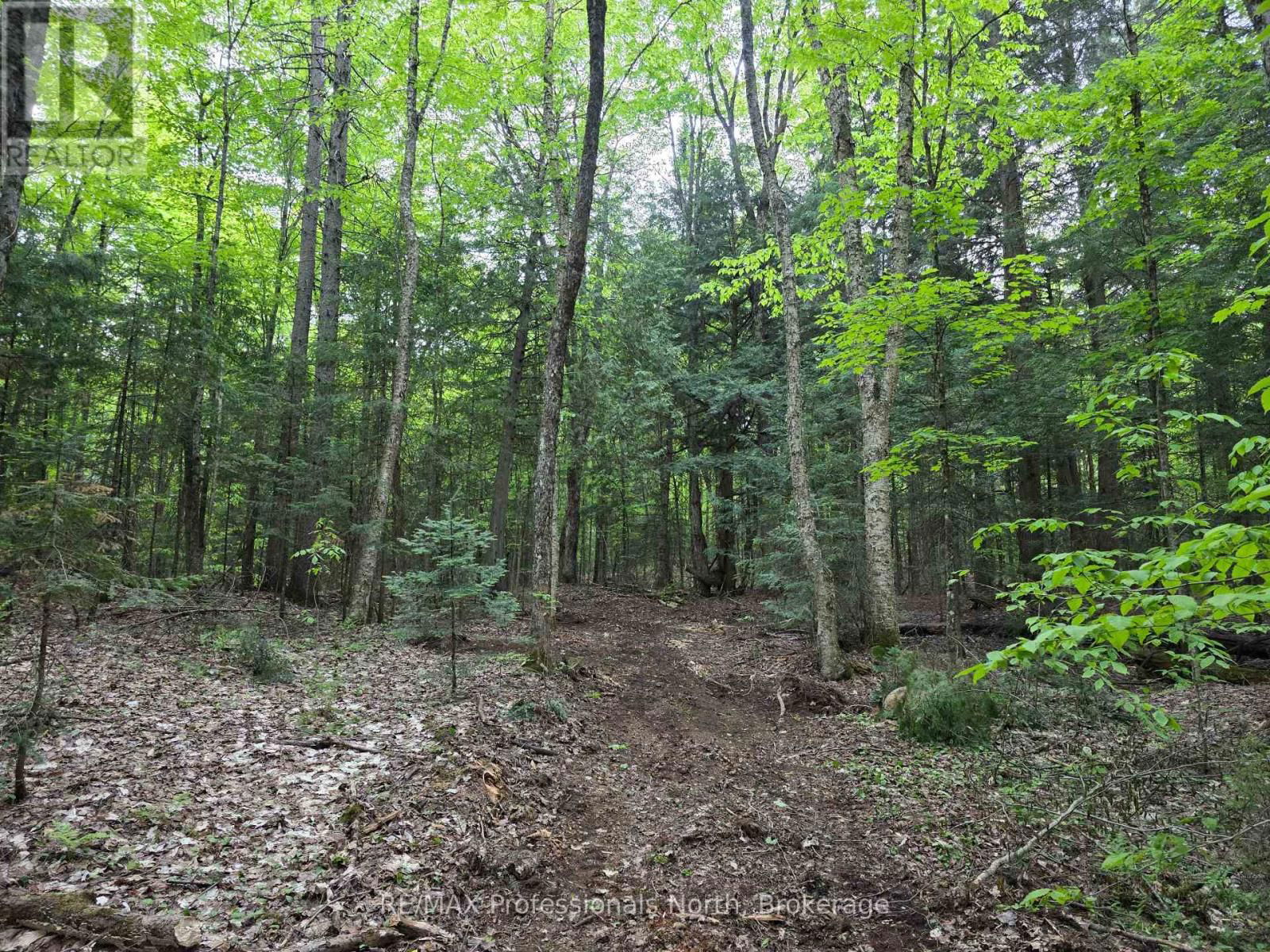 0 25TH LINE ROAD Image 5
