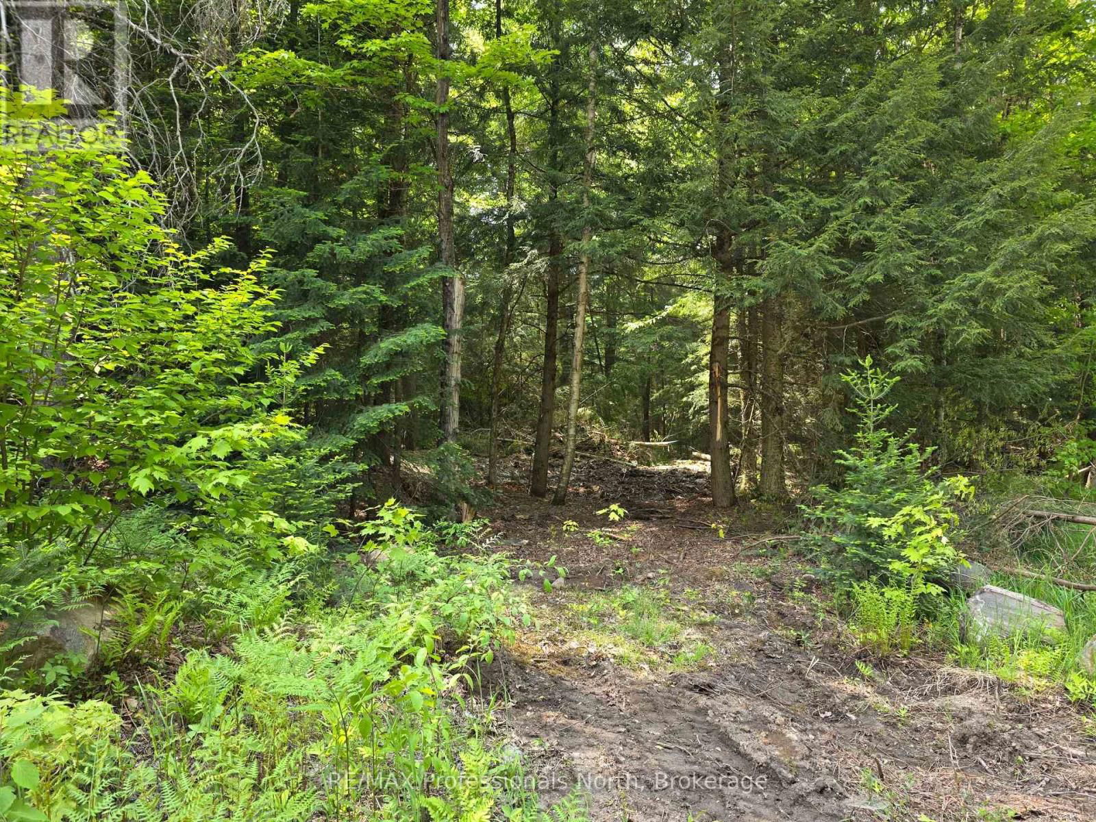 0 25TH LINE ROAD Image 6