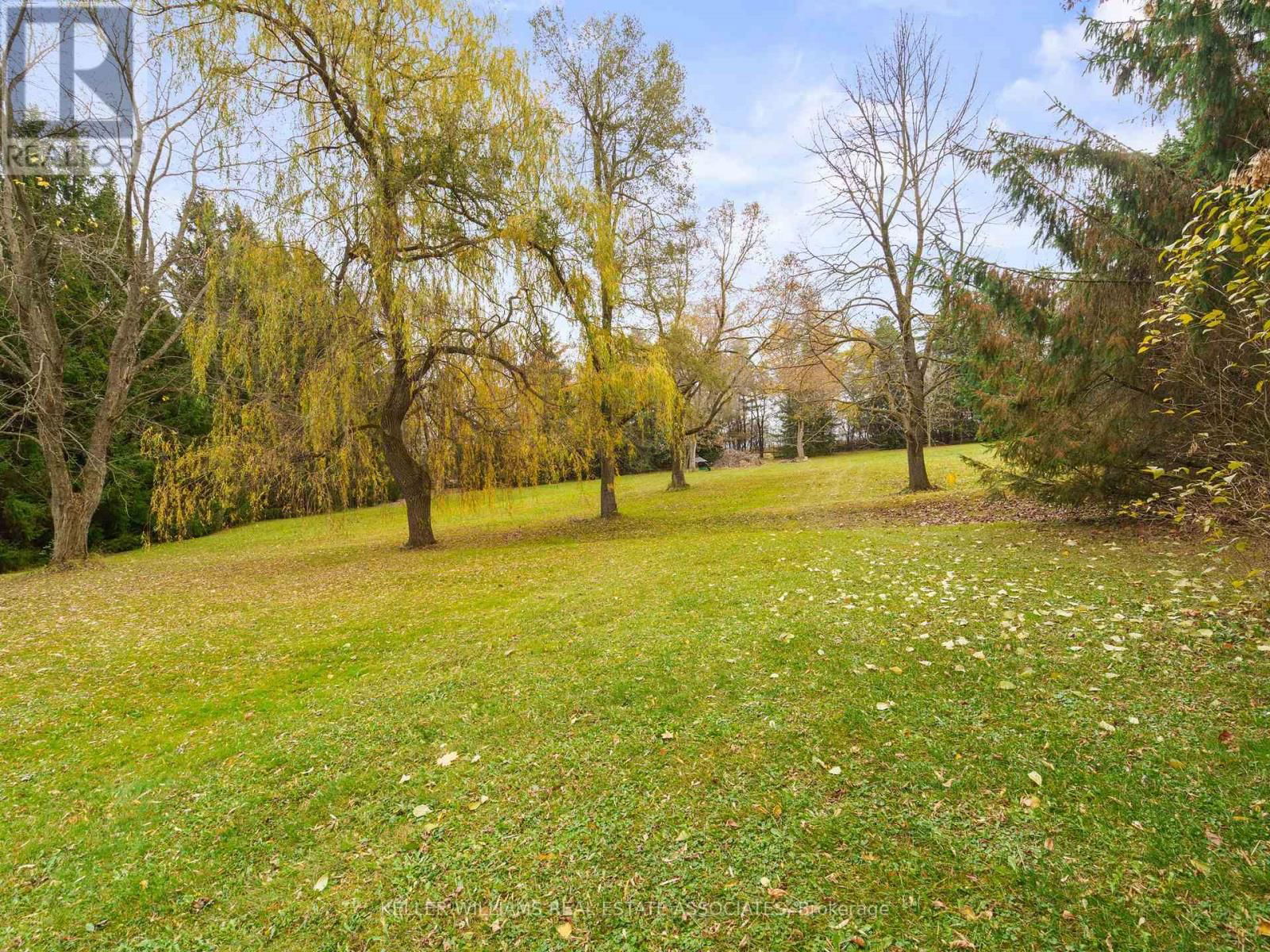 18 MCKIBBON AVENUE Image 40
