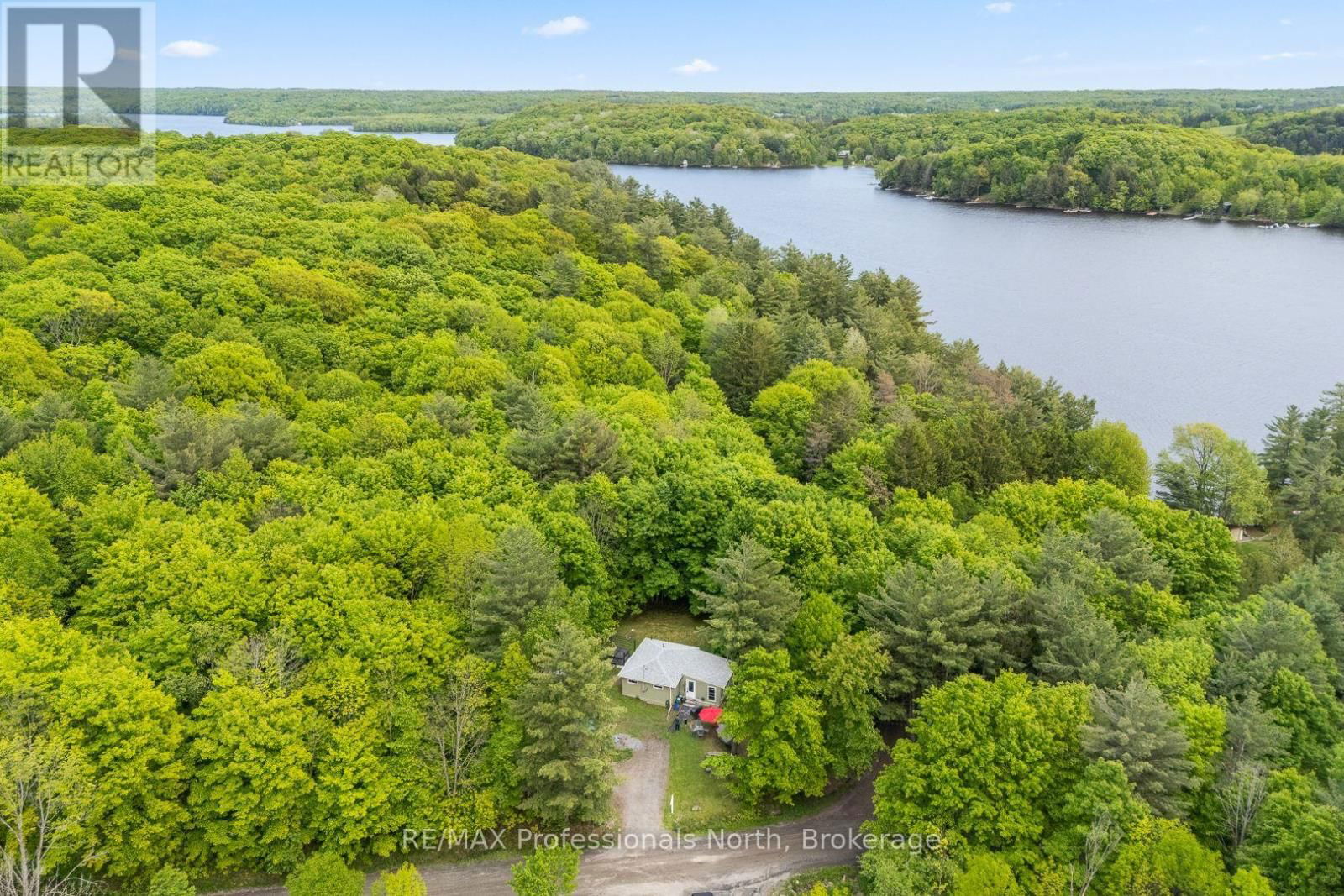 Primary Property View