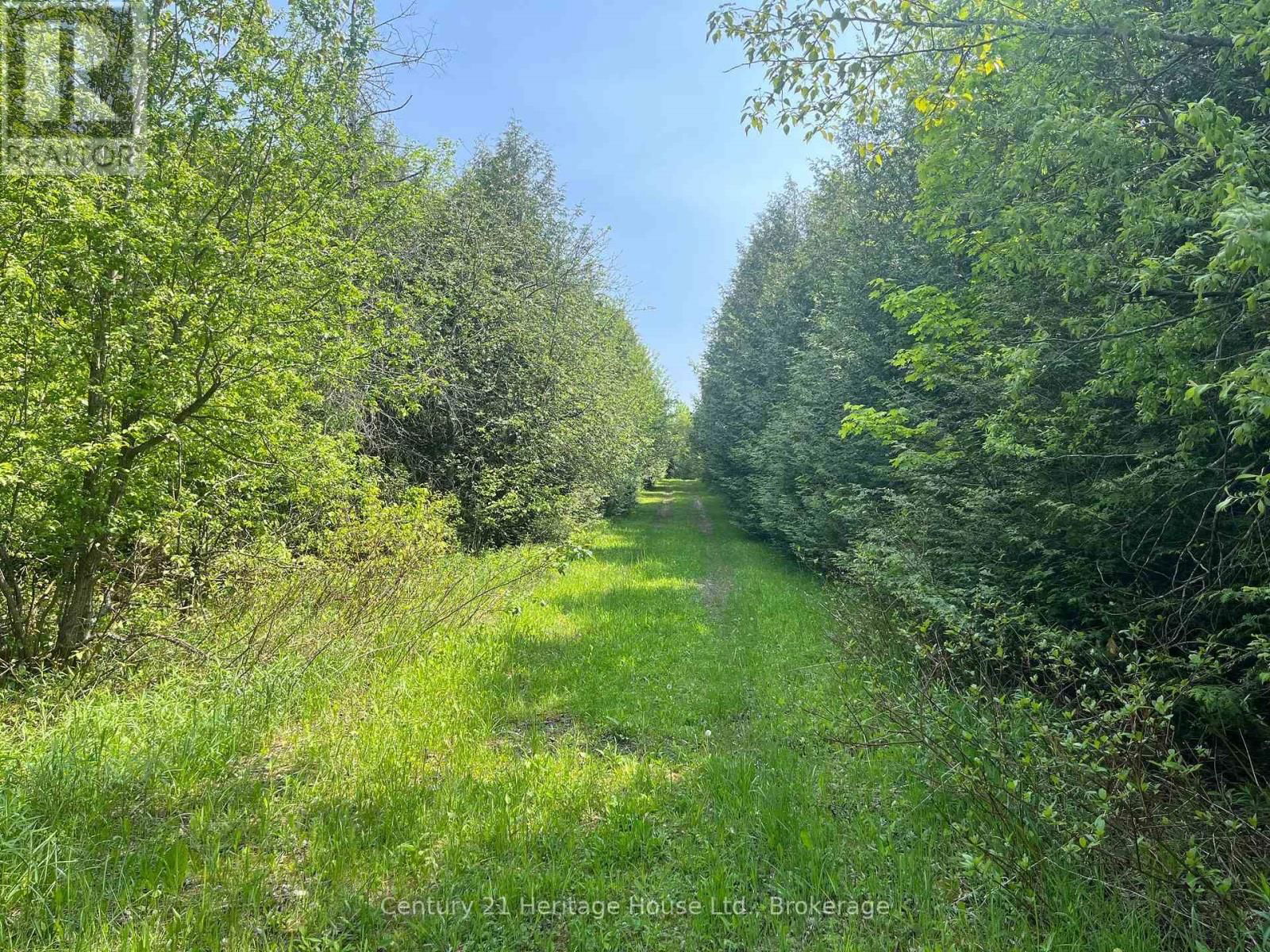 502774 SIDEROAD 9 WGR Image 2