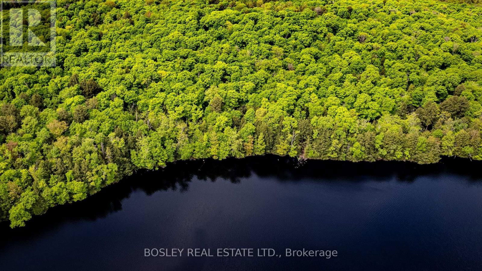 1310 CAMEL LAKE ROAD Image 1