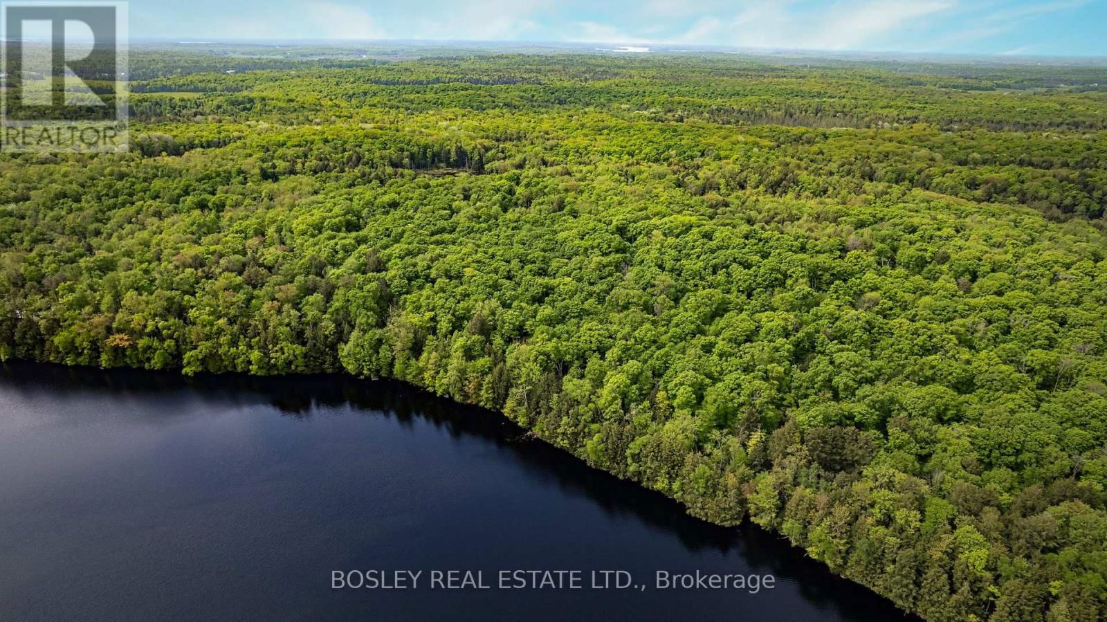 1310 CAMEL LAKE ROAD Image 10