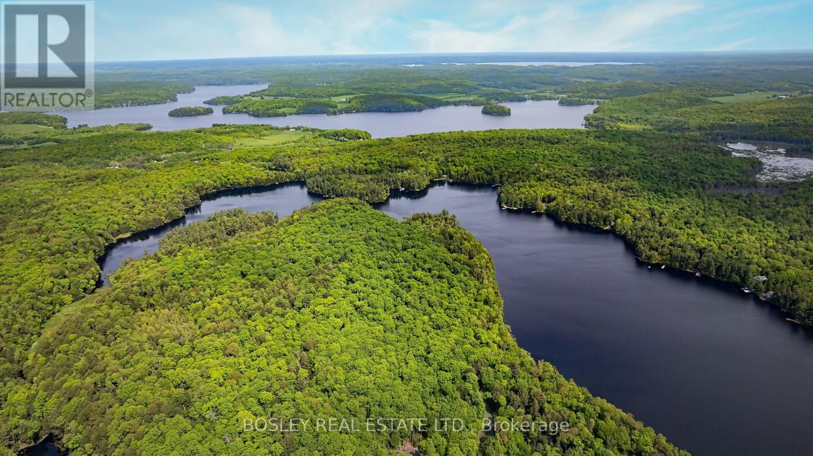 1310 CAMEL LAKE ROAD Image 14