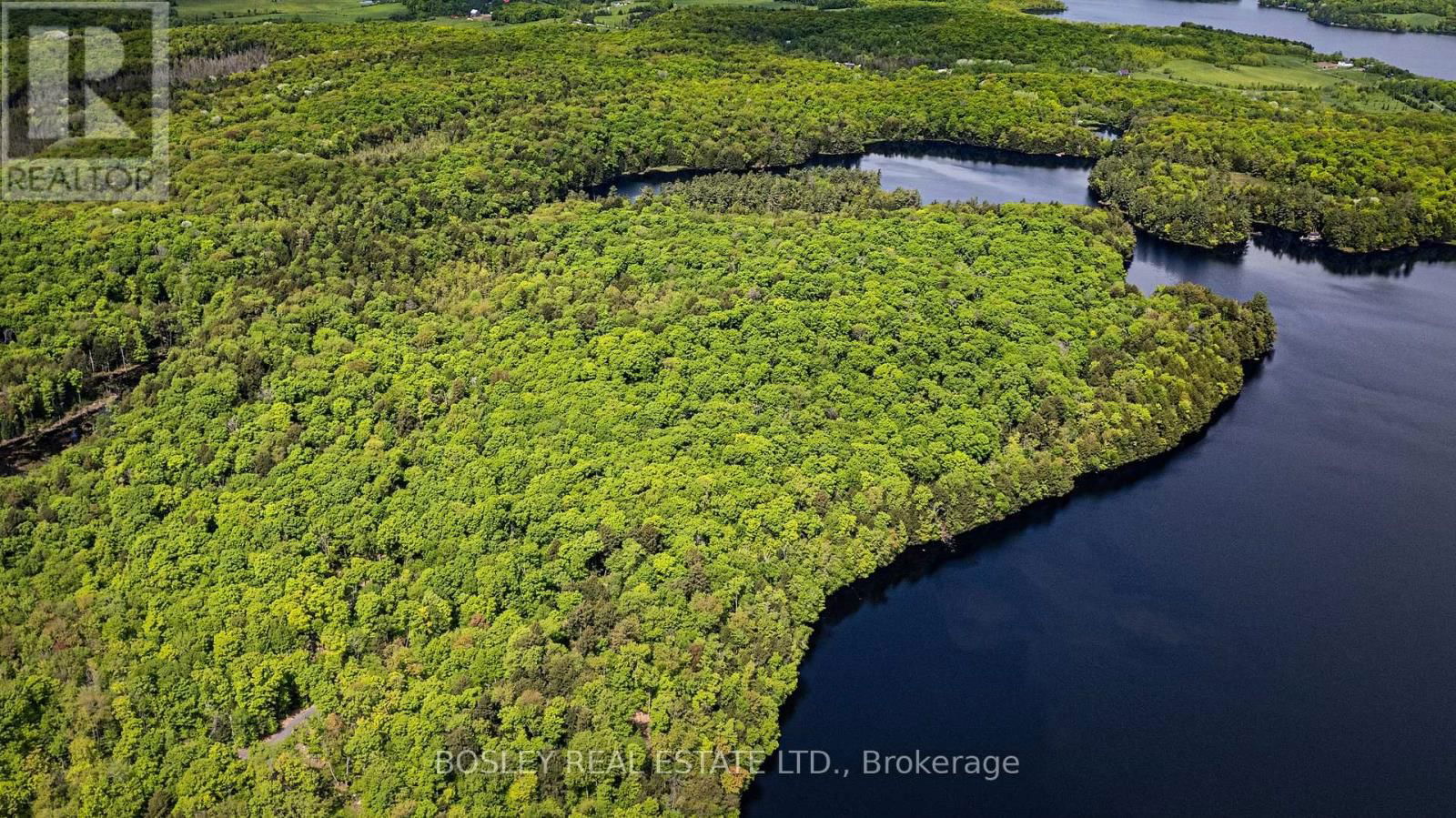 1310 CAMEL LAKE ROAD Image 15