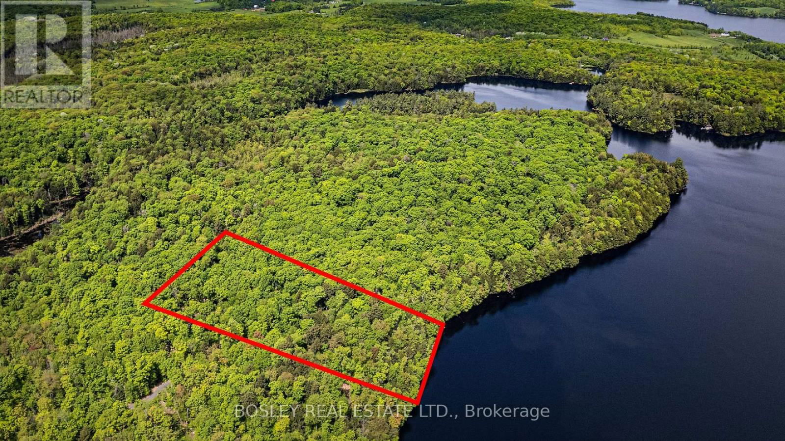 1310 CAMEL LAKE ROAD Image 16