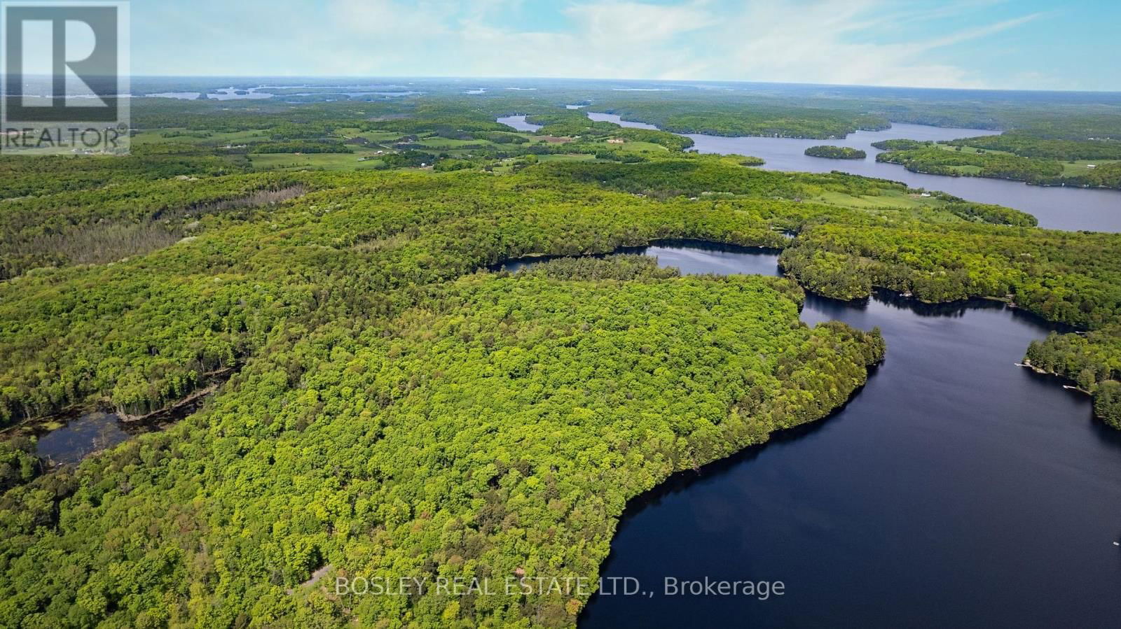1310 CAMEL LAKE ROAD Image 17