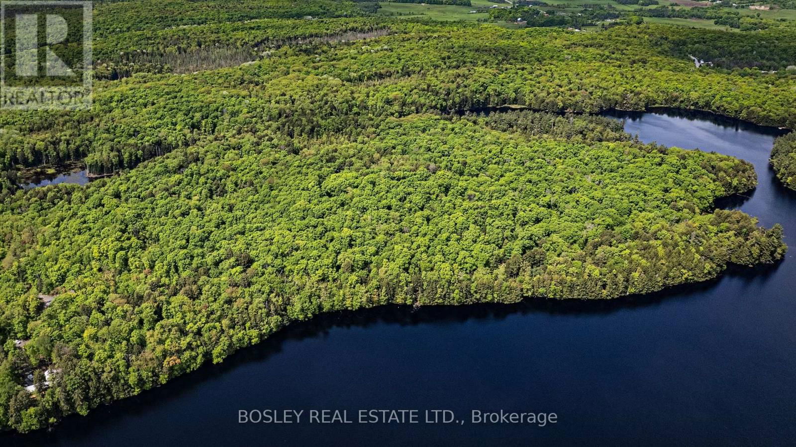 1310 CAMEL LAKE ROAD Image 18