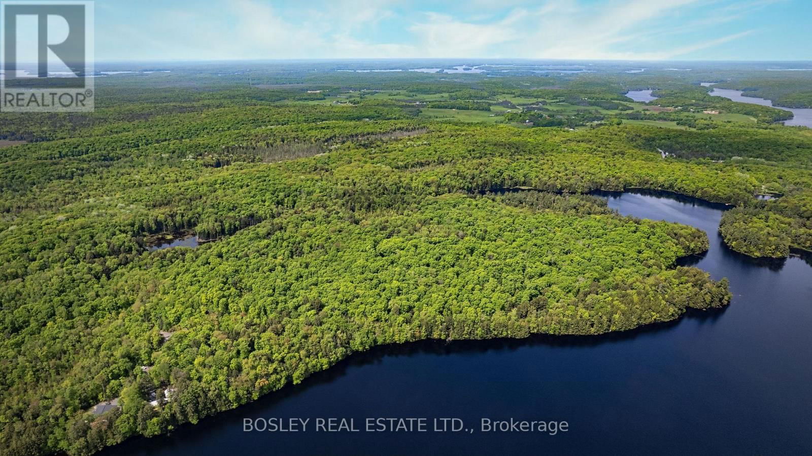 1310 CAMEL LAKE ROAD Image 19