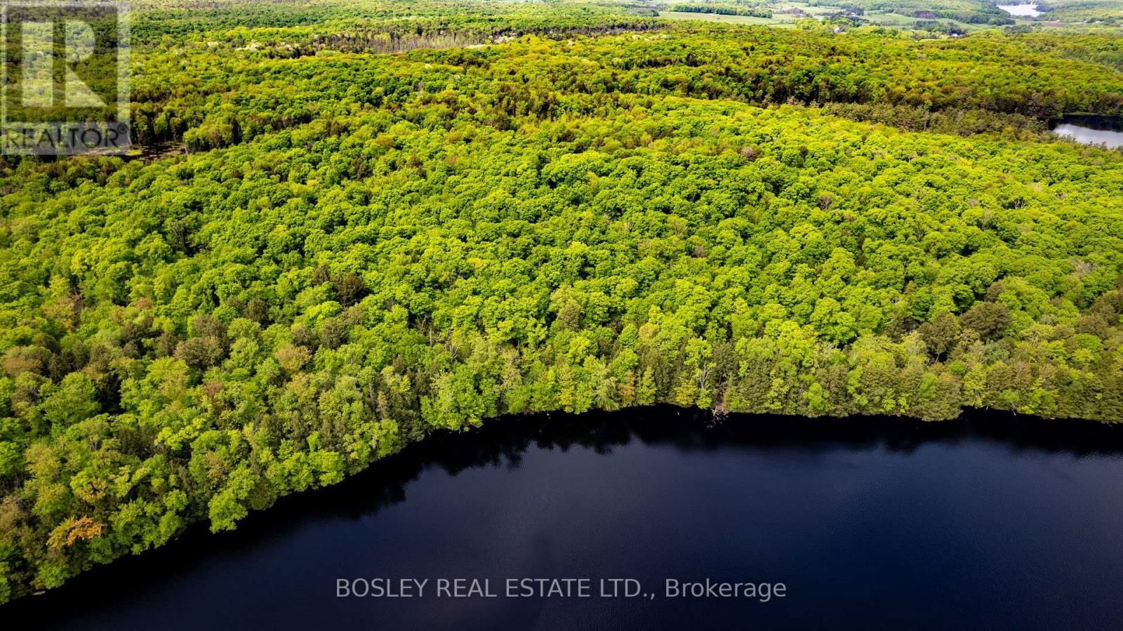 1310 CAMEL LAKE ROAD Image 2