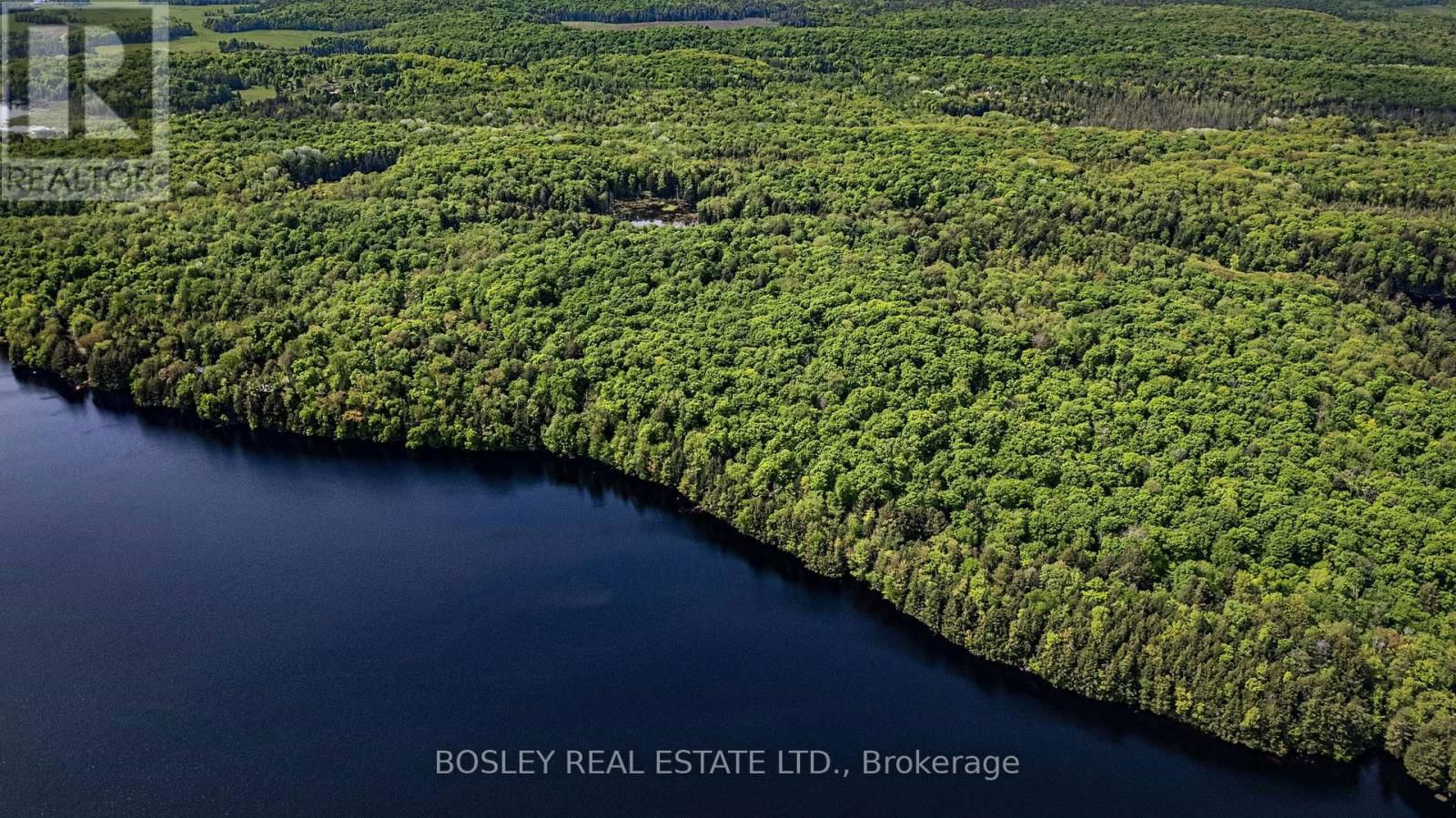 1310 CAMEL LAKE ROAD Image 20