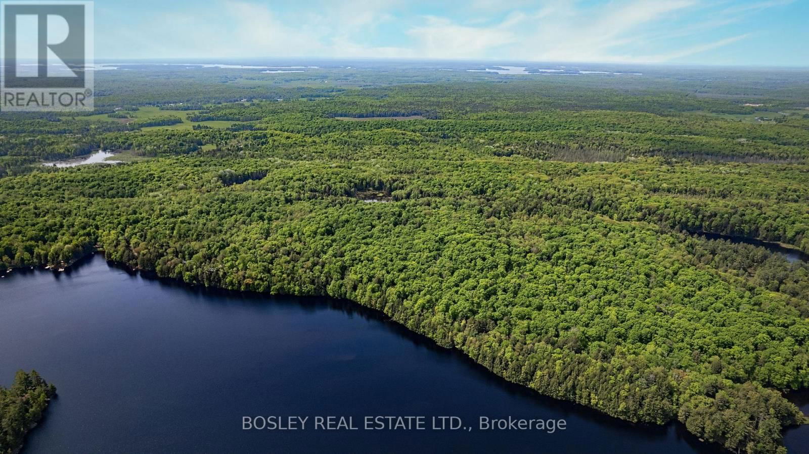 1310 CAMEL LAKE ROAD Image 21