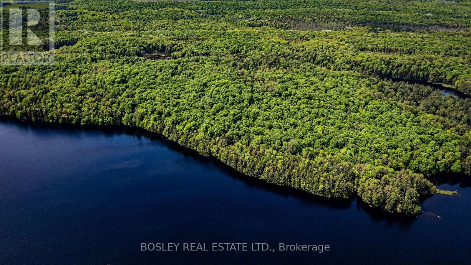 1310 CAMEL LAKE ROAD Image 22