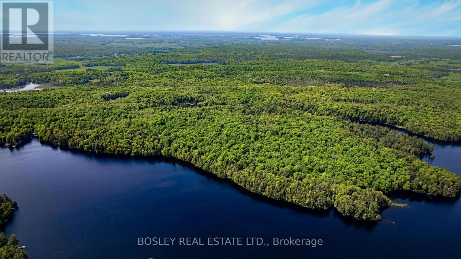 1310 CAMEL LAKE ROAD Image 23