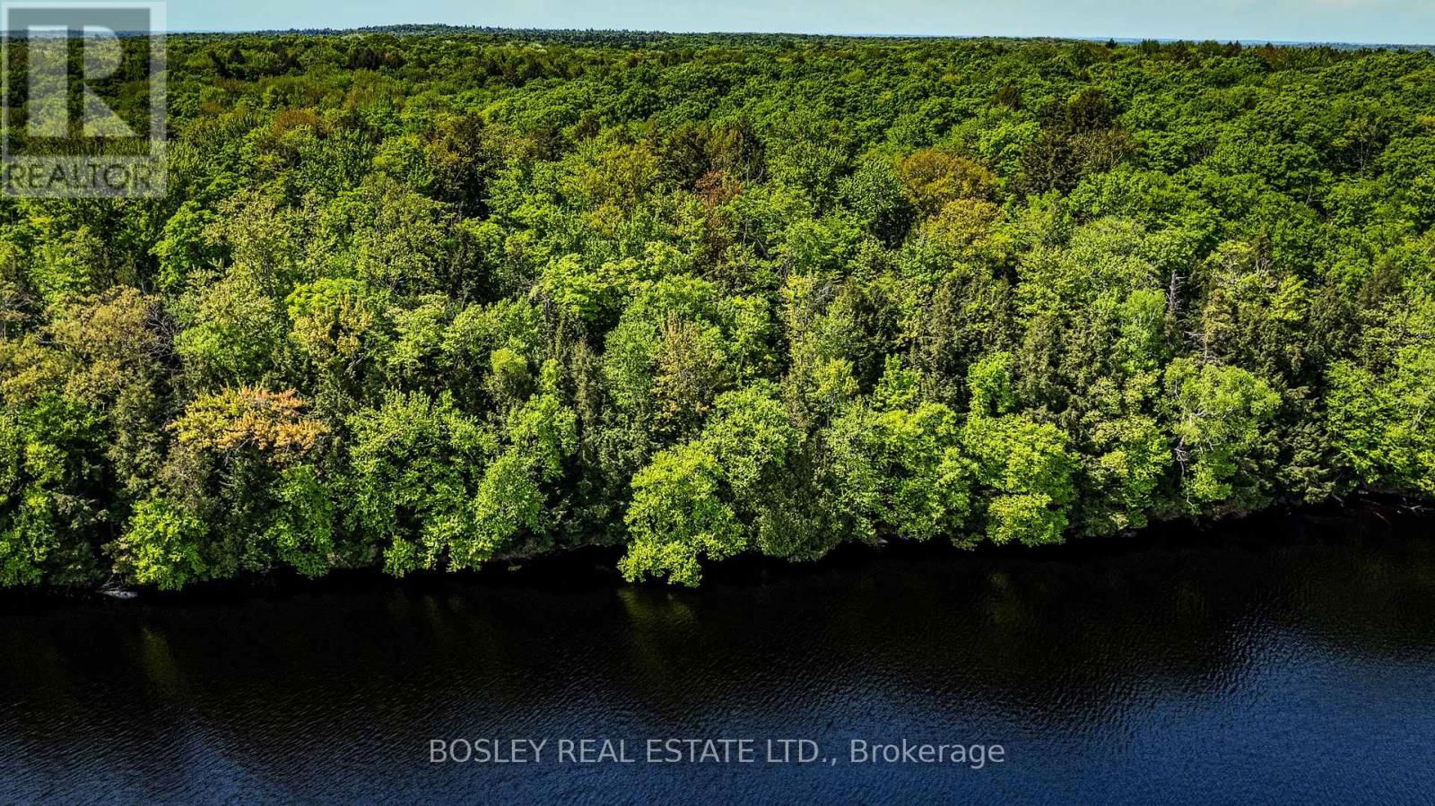 1310 CAMEL LAKE ROAD Image 24