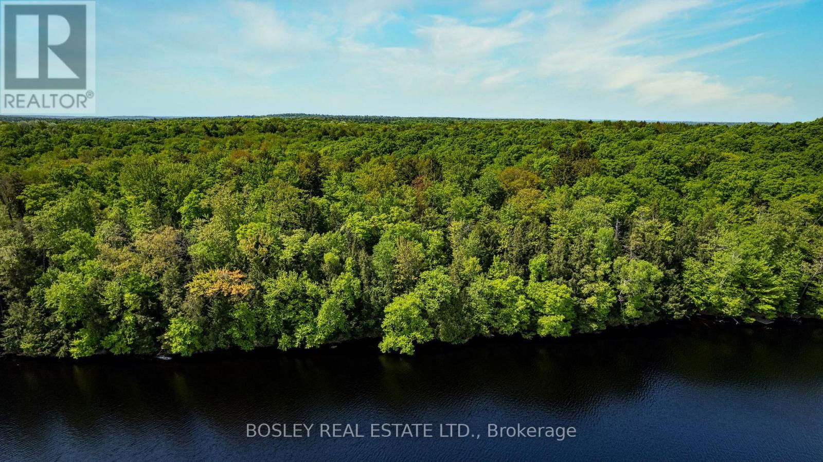 1310 CAMEL LAKE ROAD Image 25