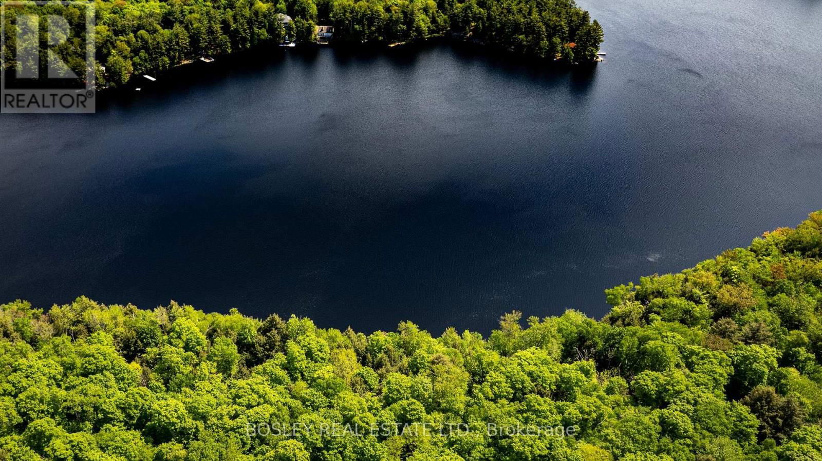 1310 CAMEL LAKE ROAD Image 28