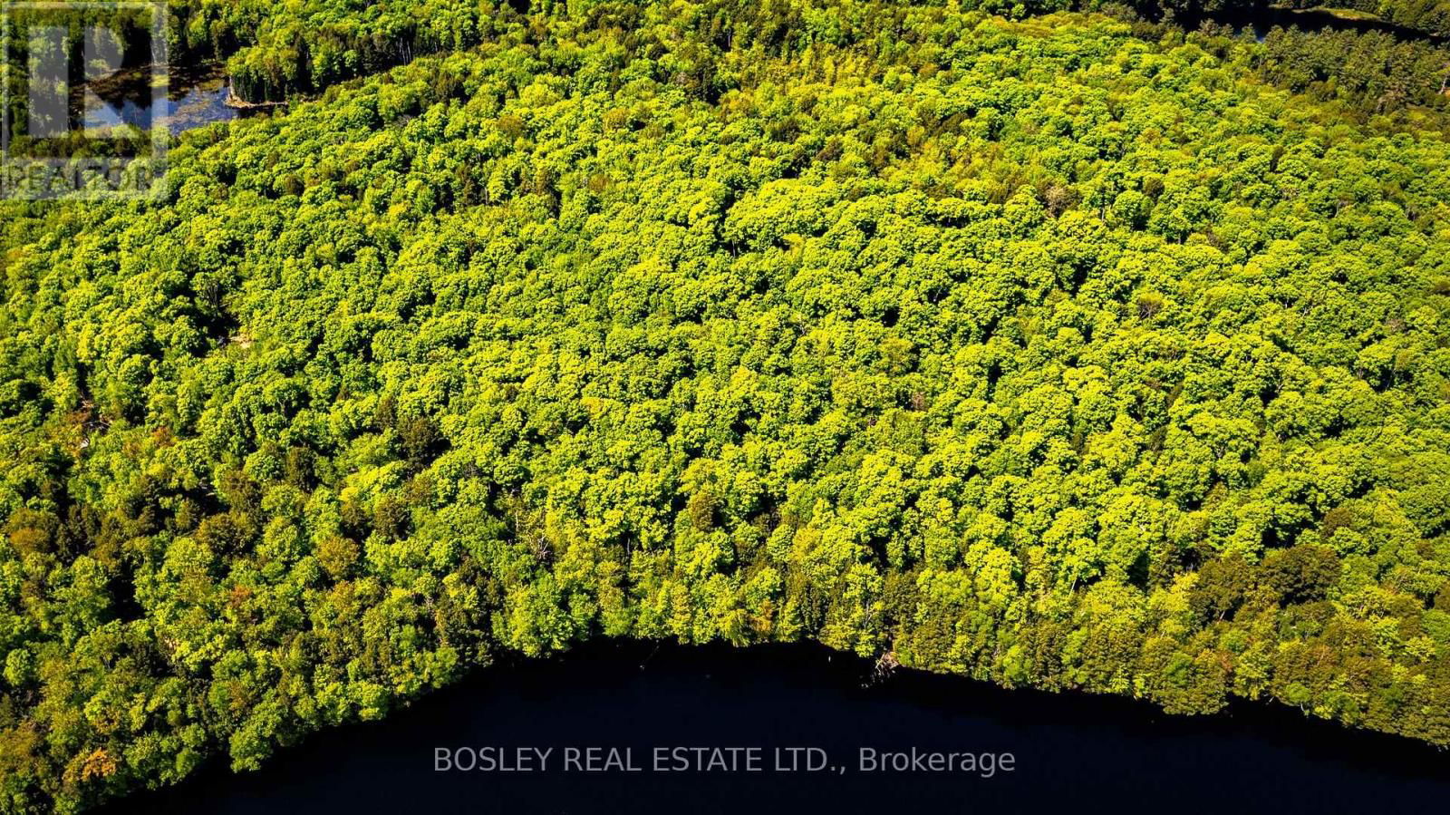 1310 CAMEL LAKE ROAD Image 30