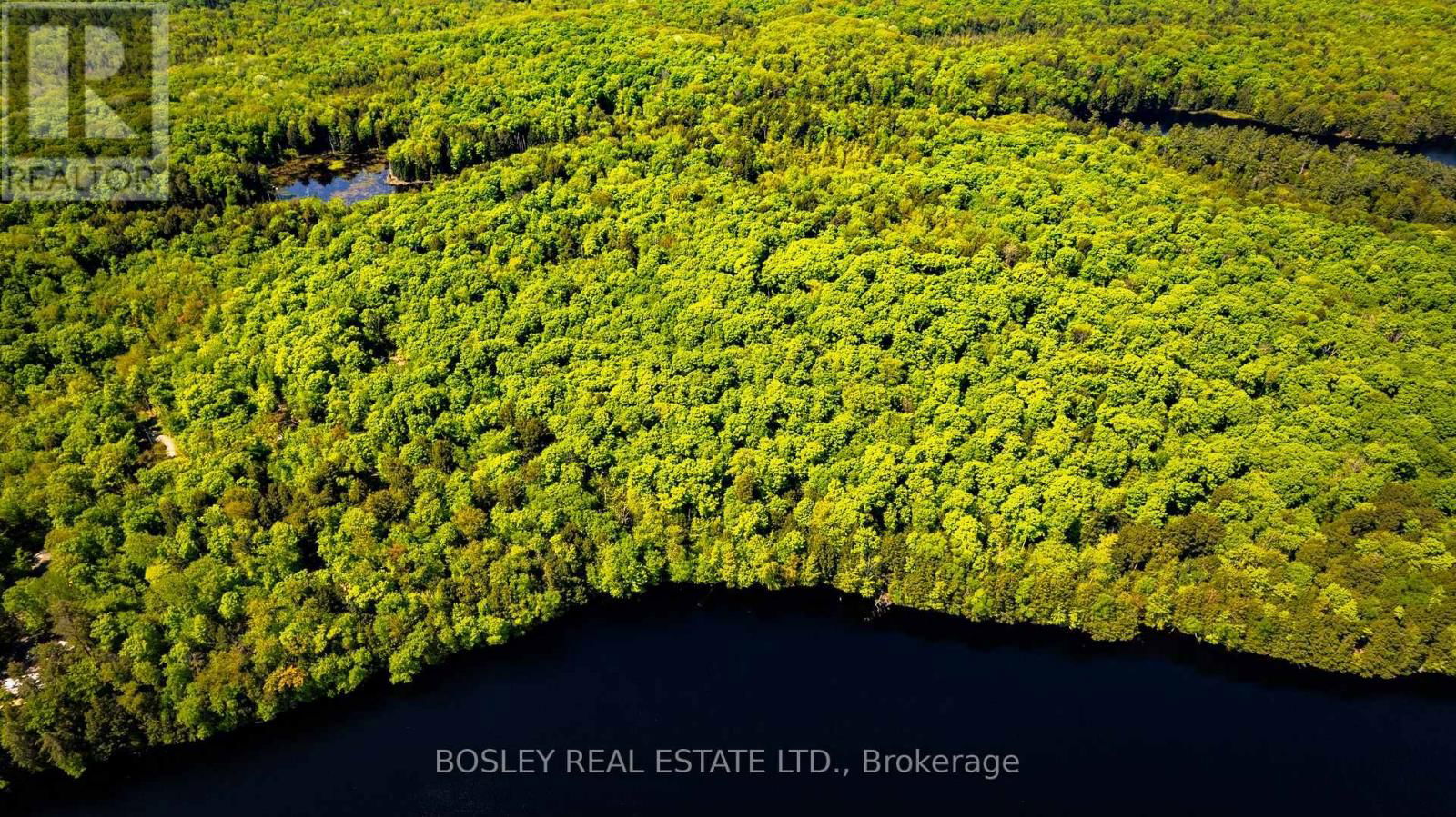 1310 CAMEL LAKE ROAD Image 31