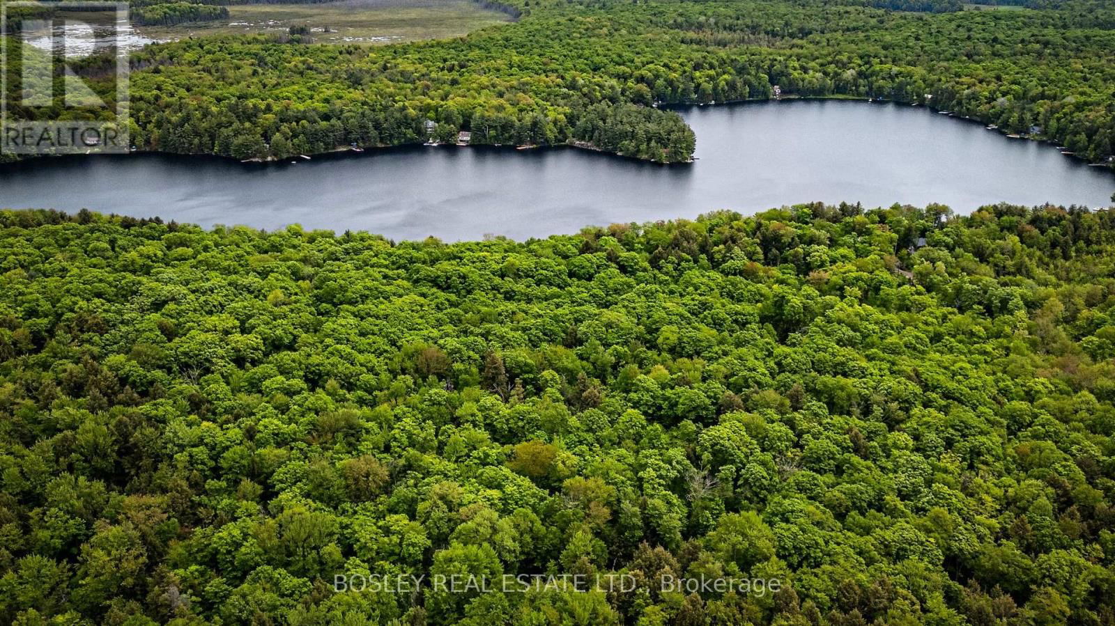 1310 CAMEL LAKE ROAD Image 32