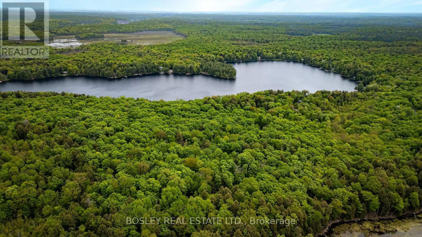 1310 CAMEL LAKE ROAD Image 33