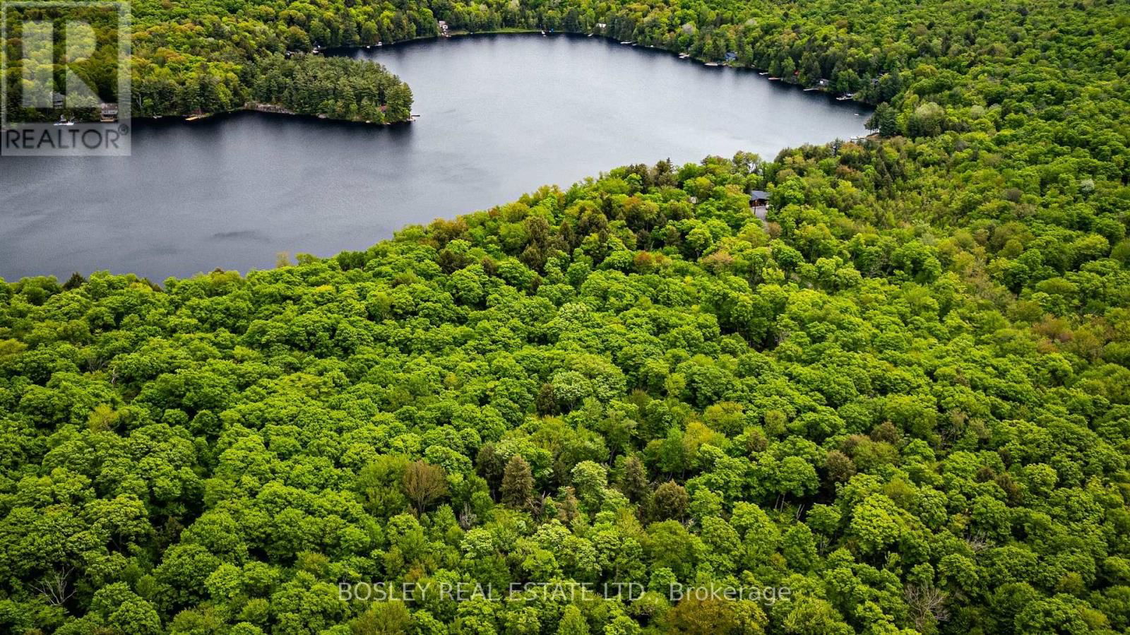 1310 CAMEL LAKE ROAD Image 34