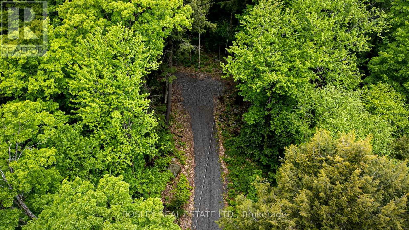 1310 CAMEL LAKE ROAD Image 36