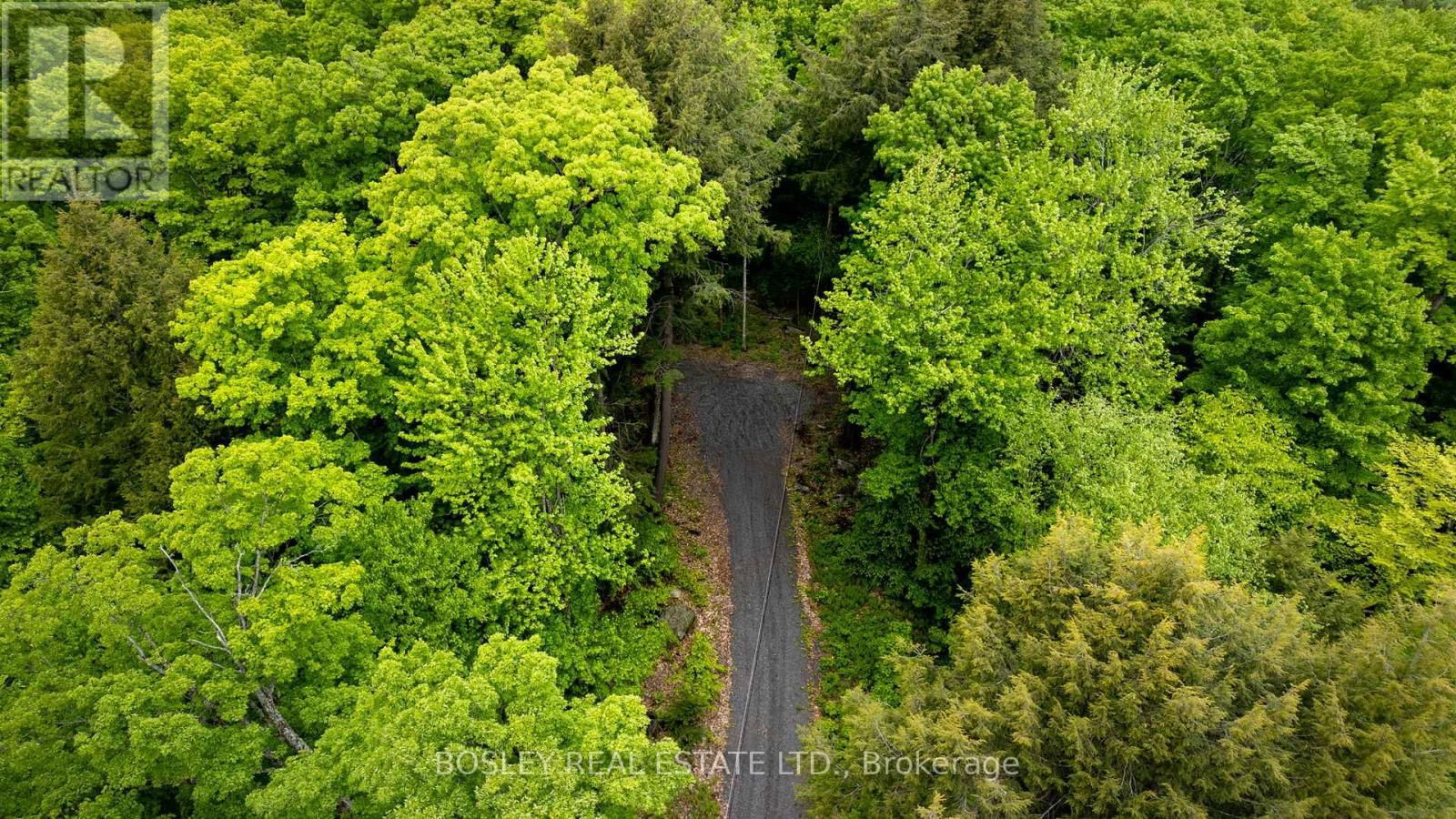 1310 CAMEL LAKE ROAD Image 37
