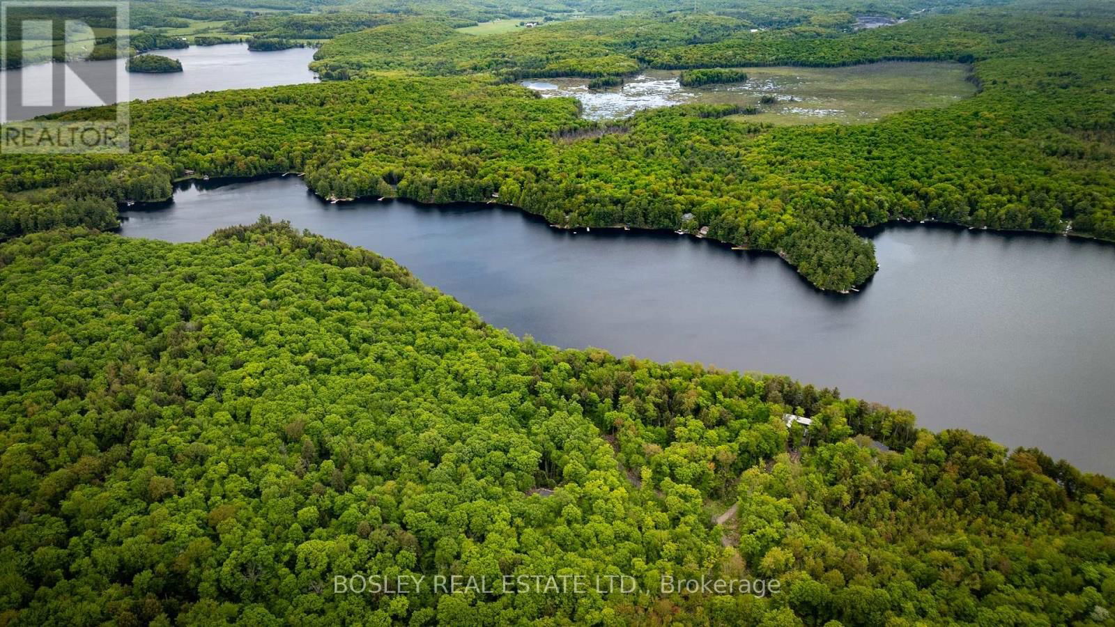 1310 CAMEL LAKE ROAD Image 39