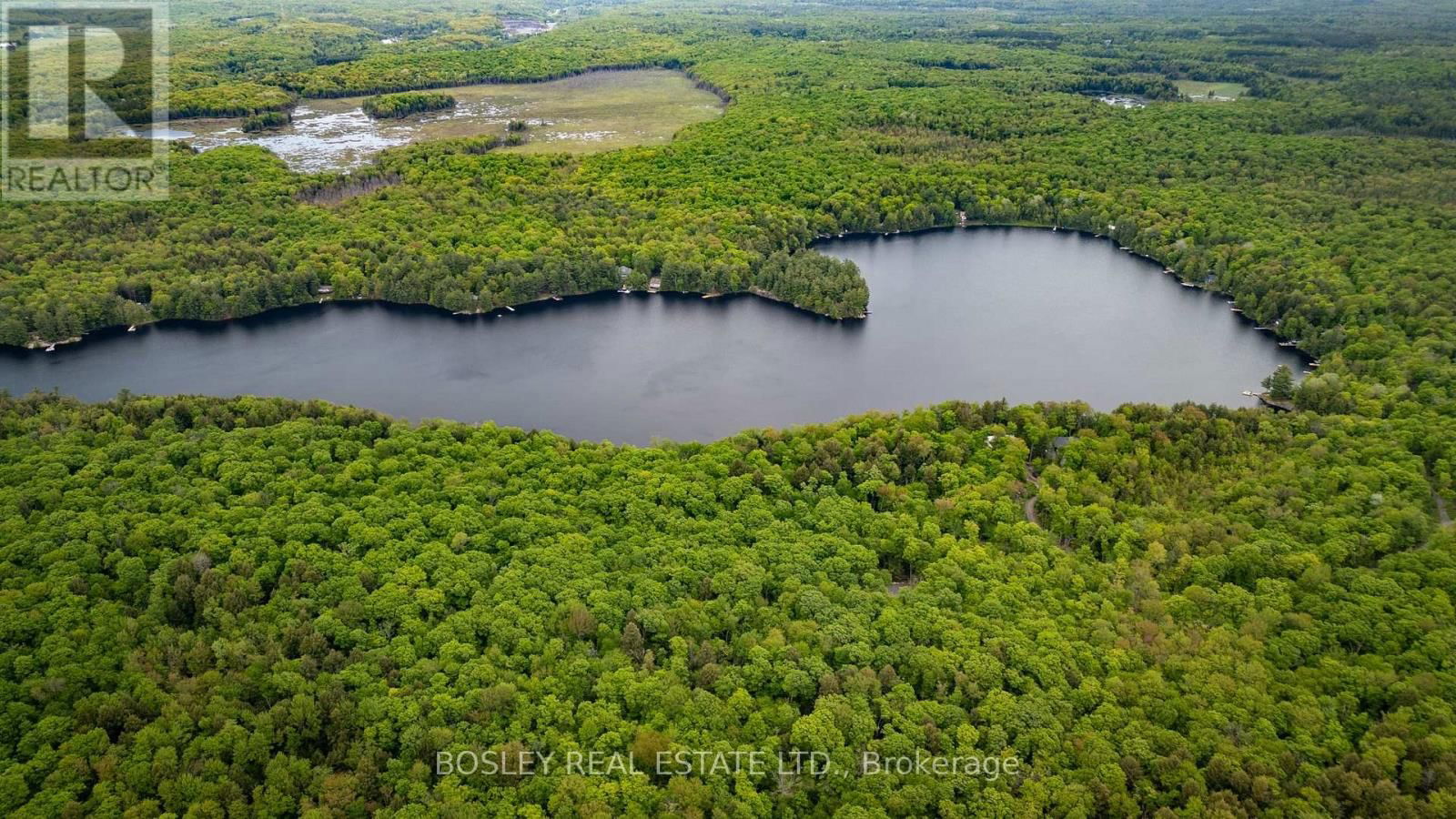1310 CAMEL LAKE ROAD Image 41