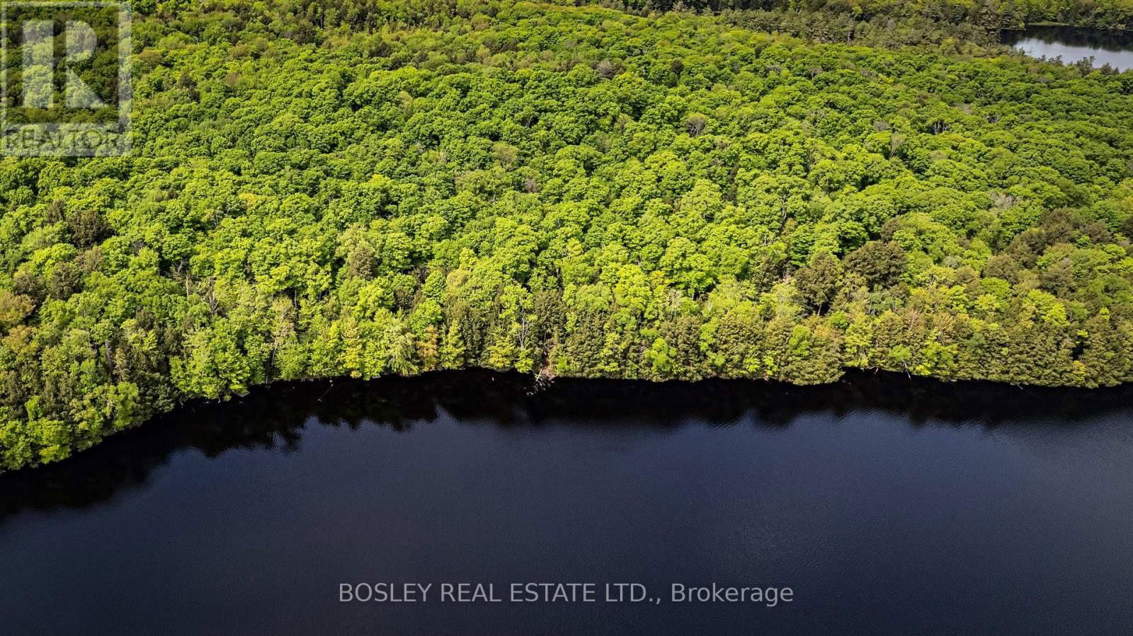 1310 CAMEL LAKE ROAD Image 7