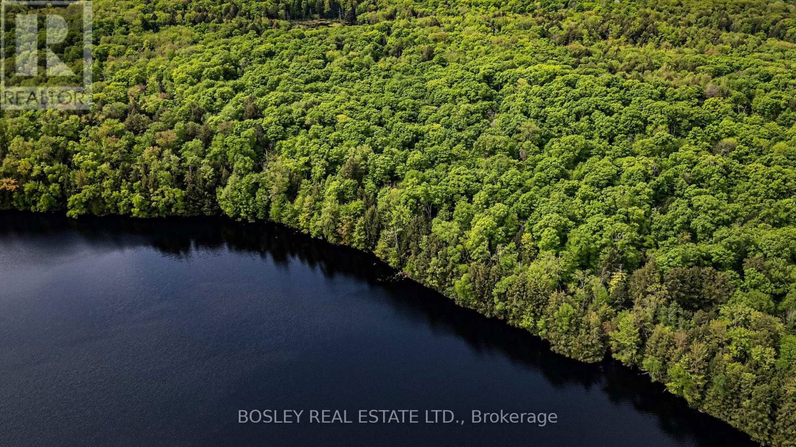 1310 CAMEL LAKE ROAD Image 9