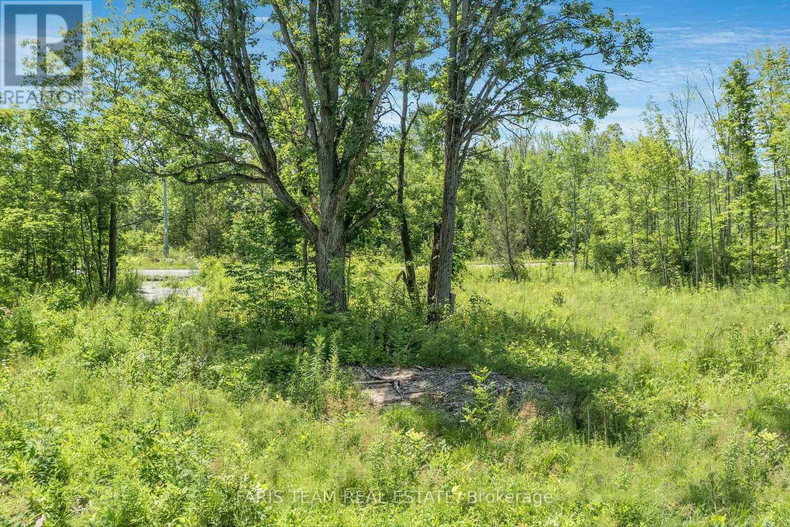 88 MUSKY BAY ROAD Image 2