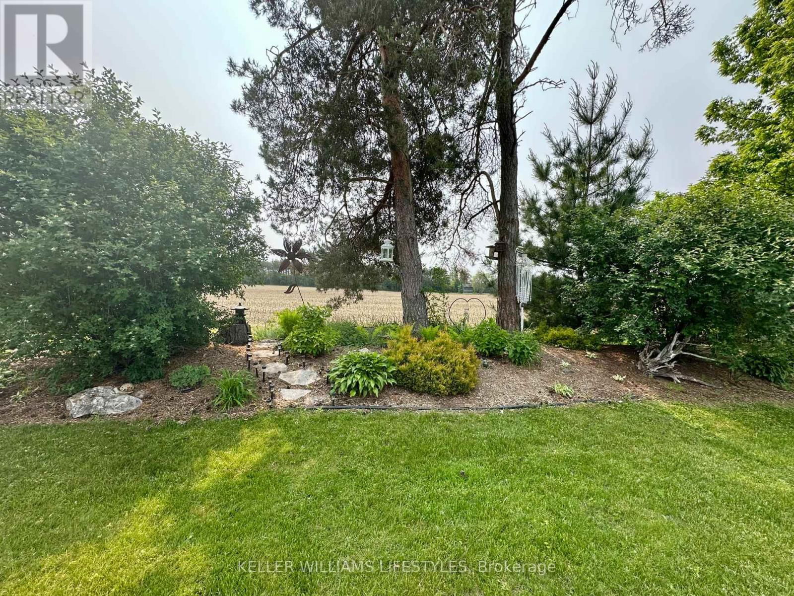 16 VELMA STREET Image 33