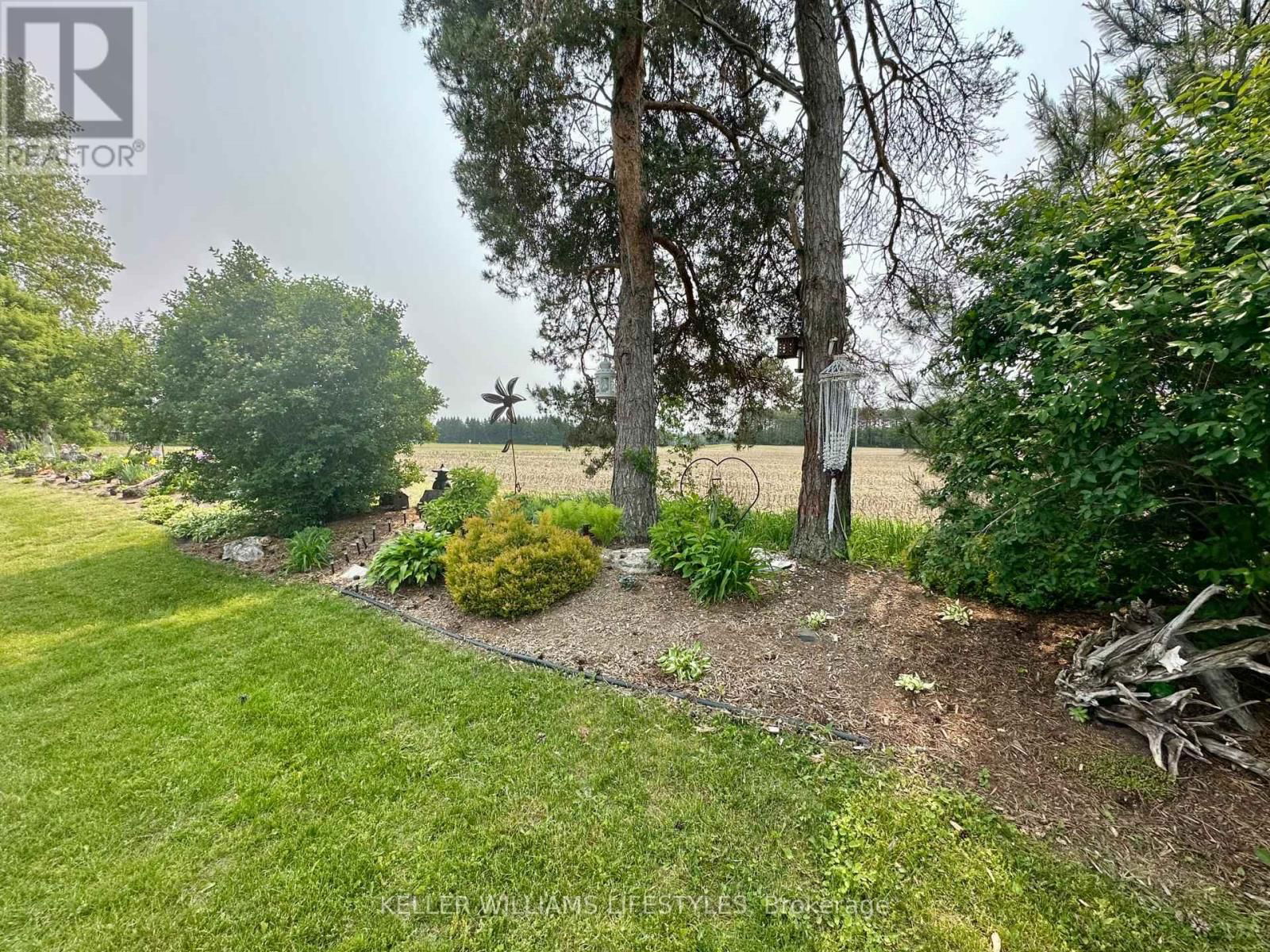 16 VELMA STREET Image 34