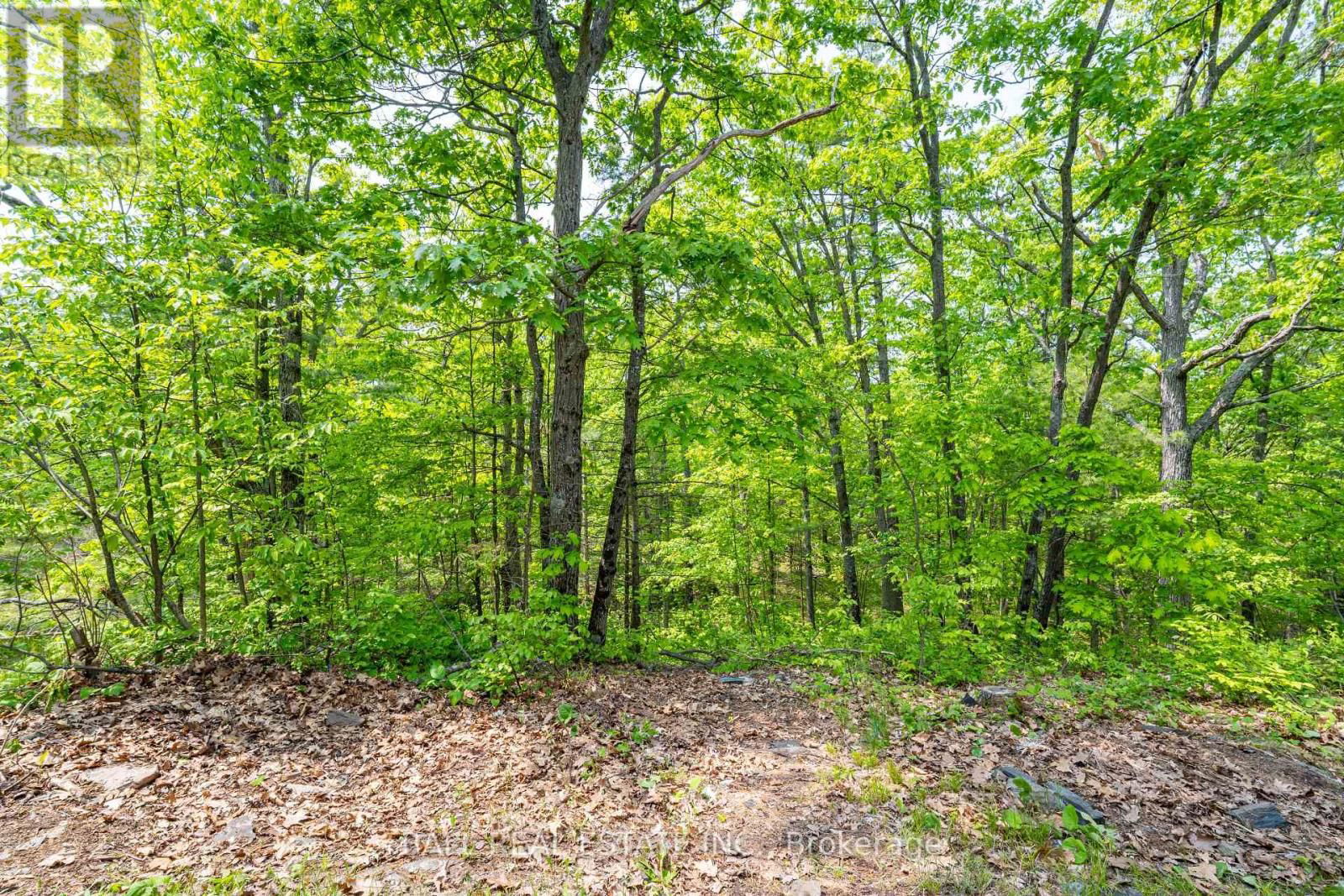 1 CORDOVA LAKE-WATER ACCESS Image 35