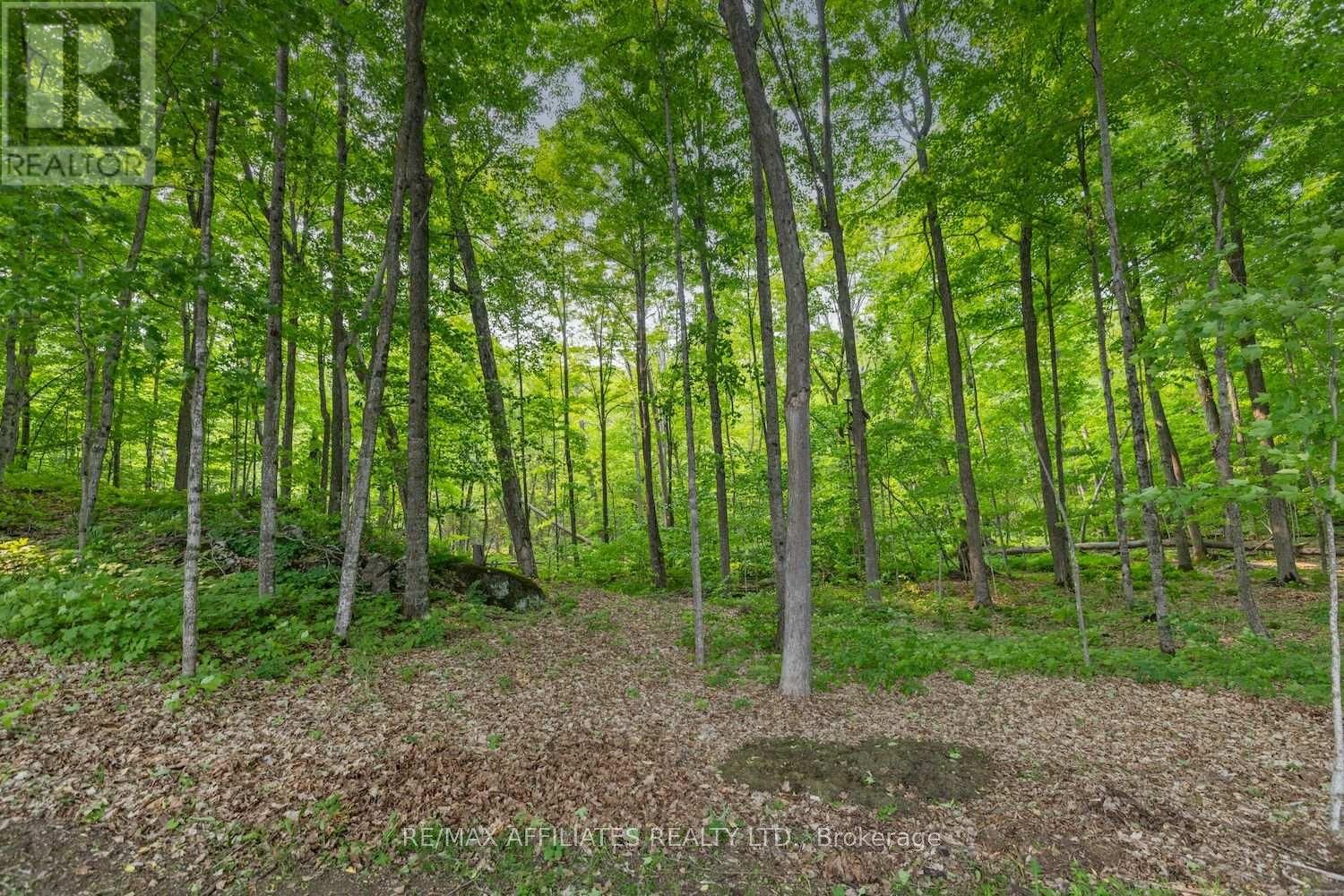 234 BOYDS ROAD Image 35