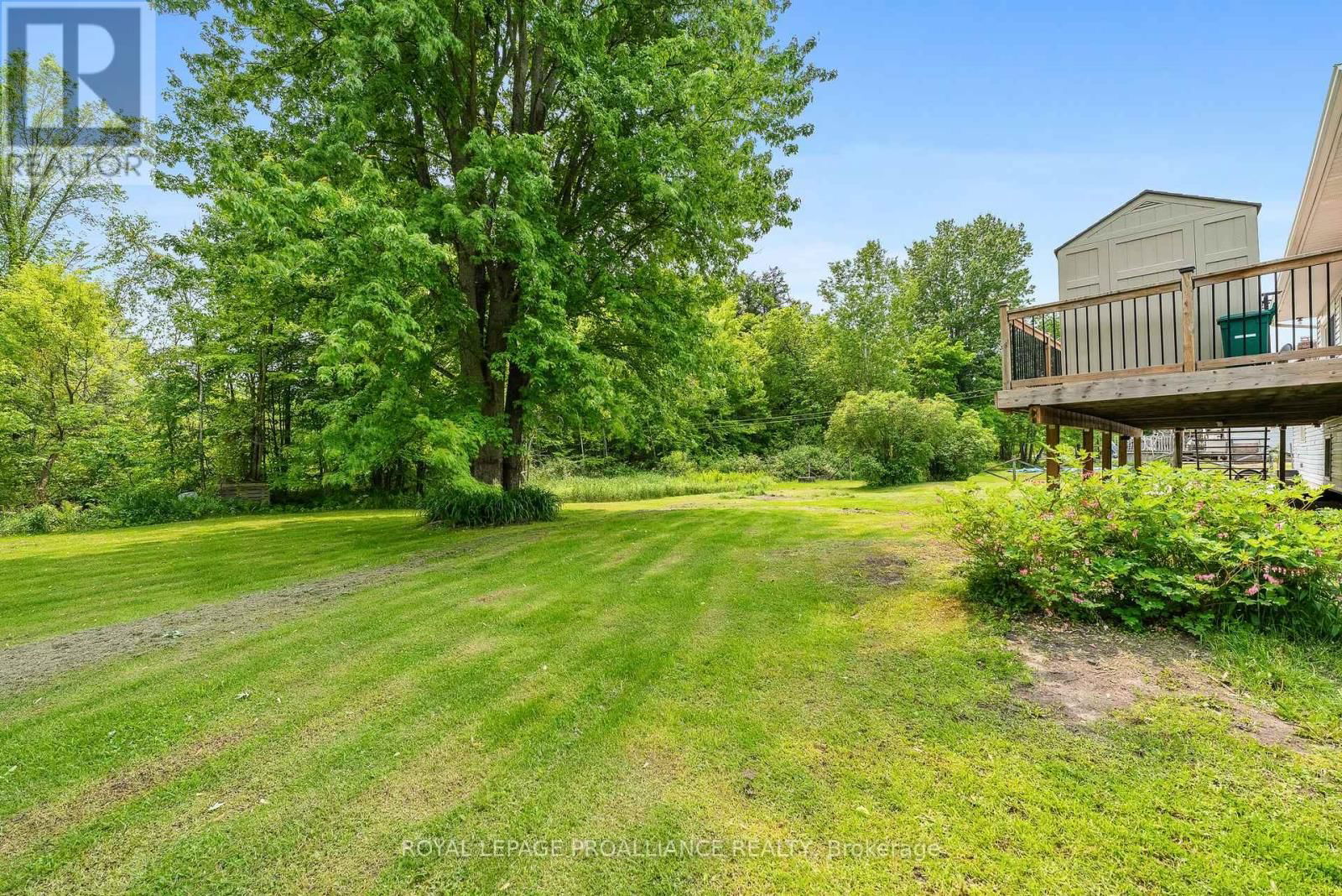 275 COUNTY RD 41 ROAD Image 43