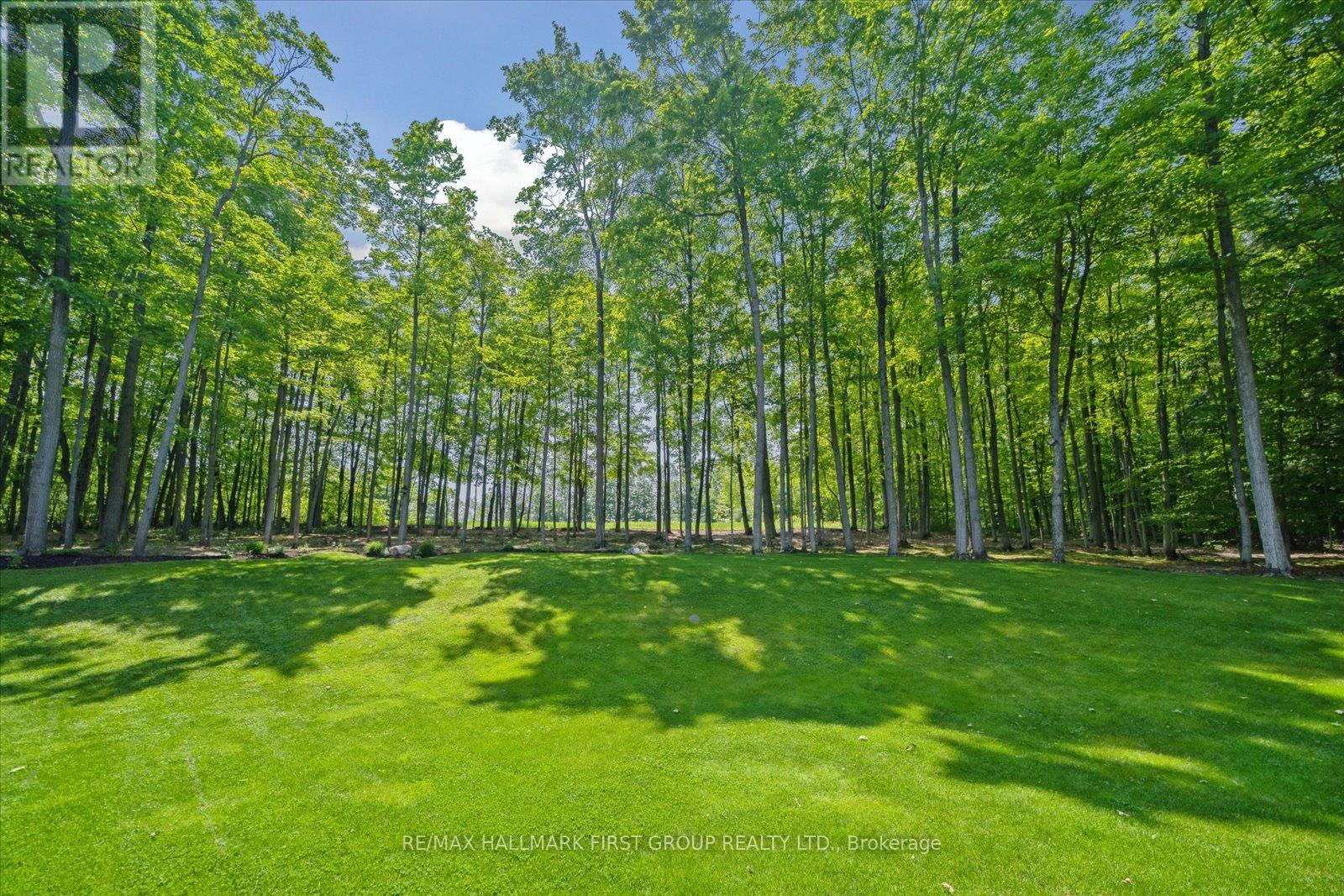 2317 SHERBROOKE STREET WEST Image 45