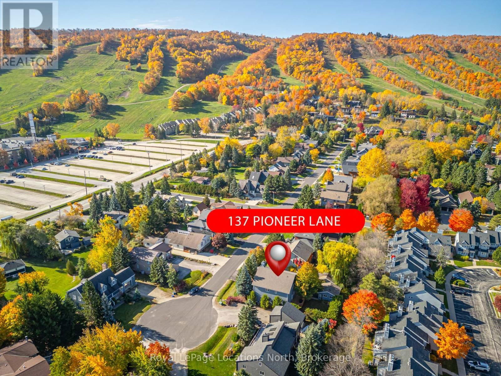 Primary Property View