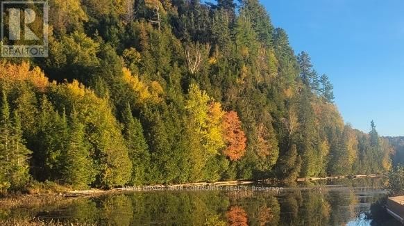 1610 TUSK TRAIL Image 2