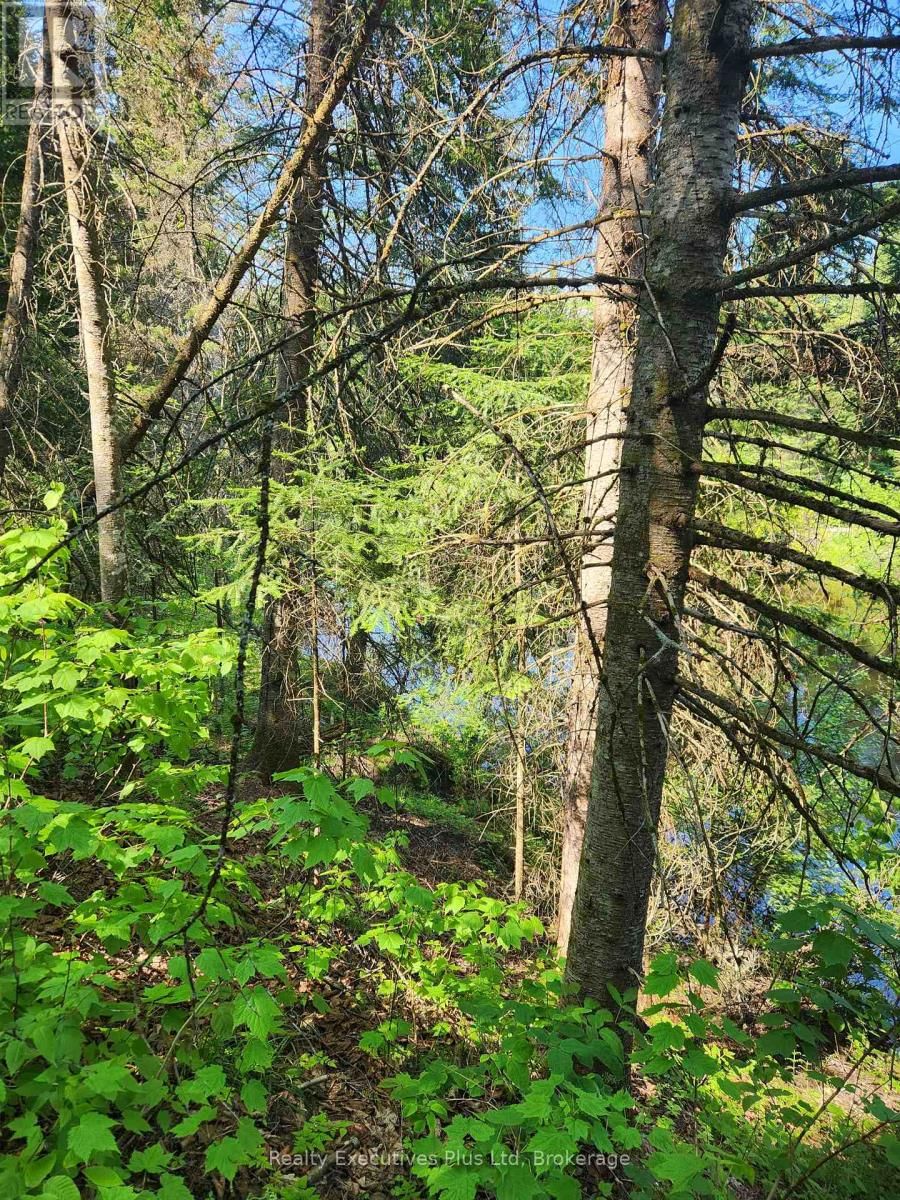 LOT 16 &17 CON 14 Image 7