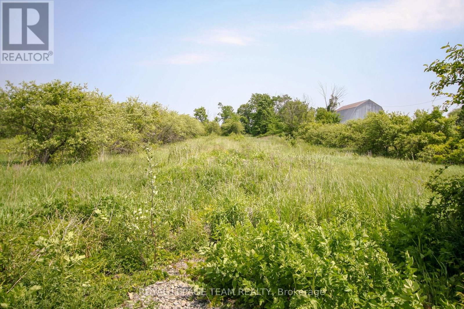 Primary Property View