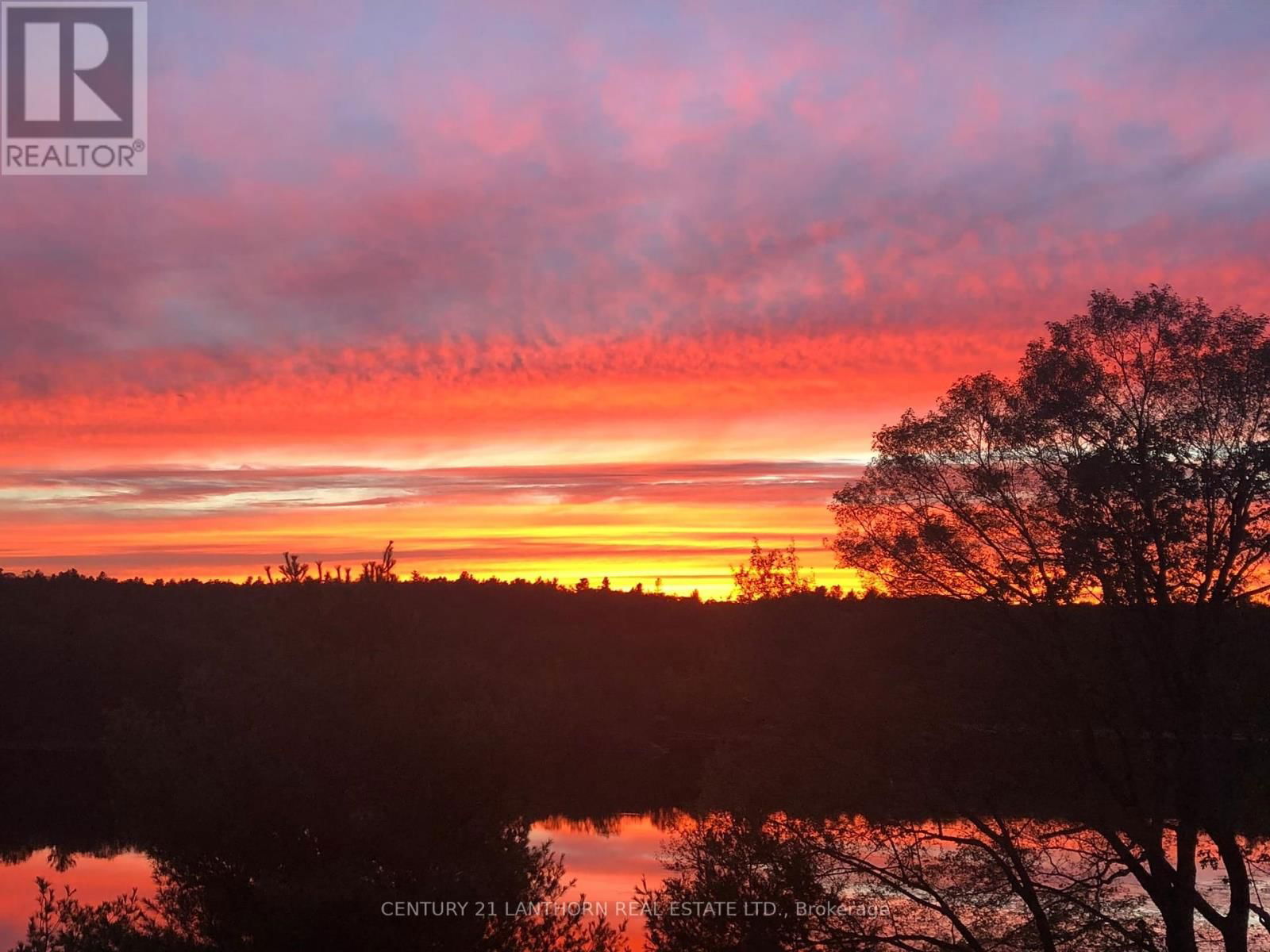 32 FOREST BREEZE LANE Image 49